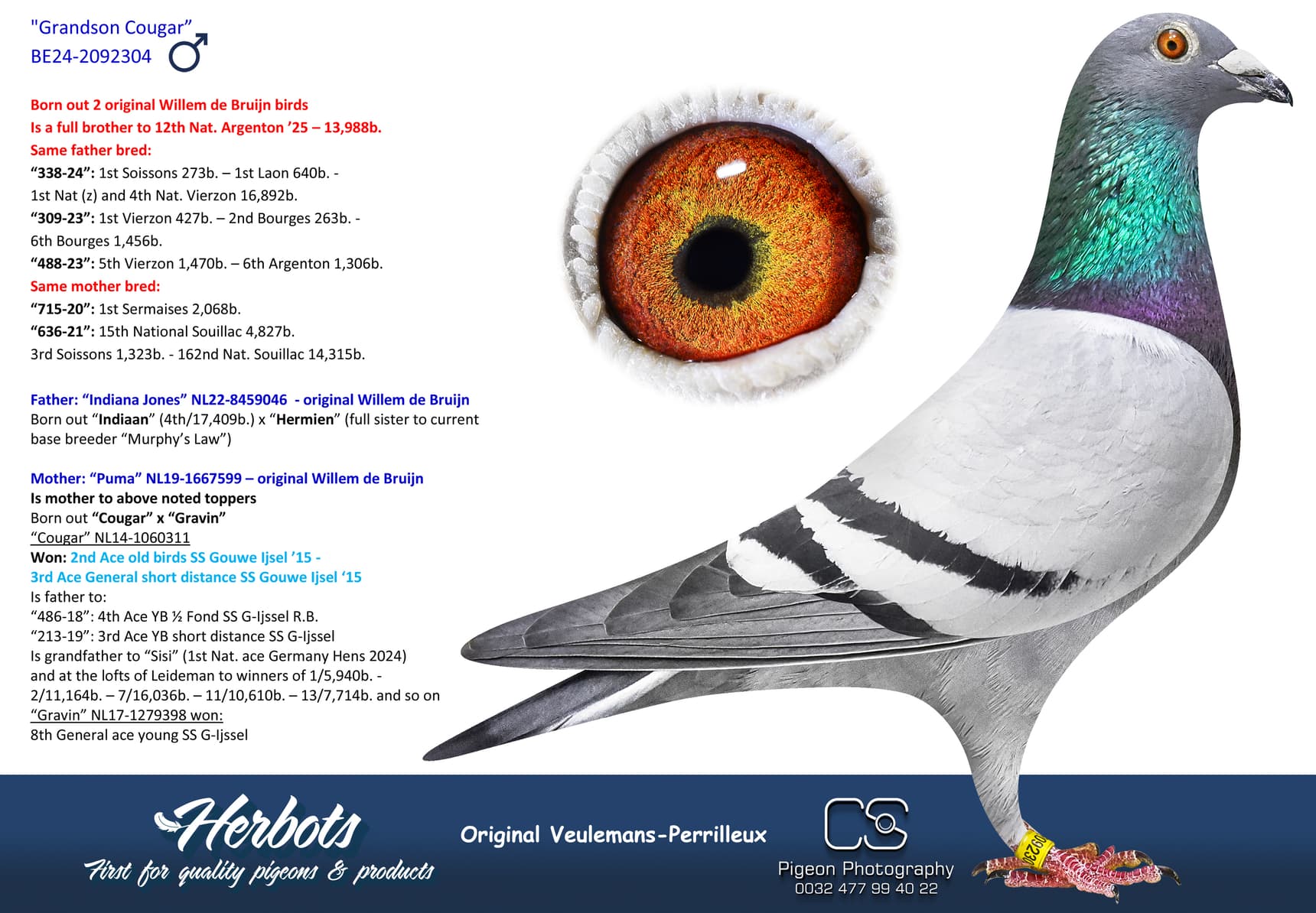 pigeon: undefined