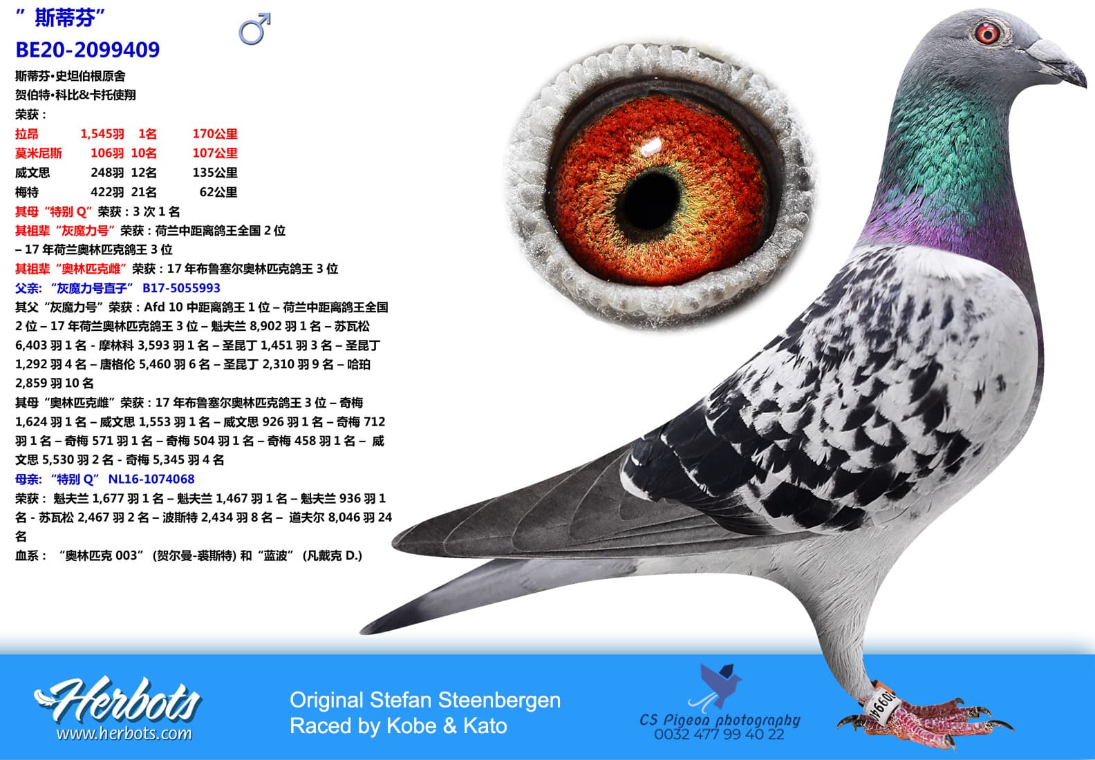 pigeon: undefined