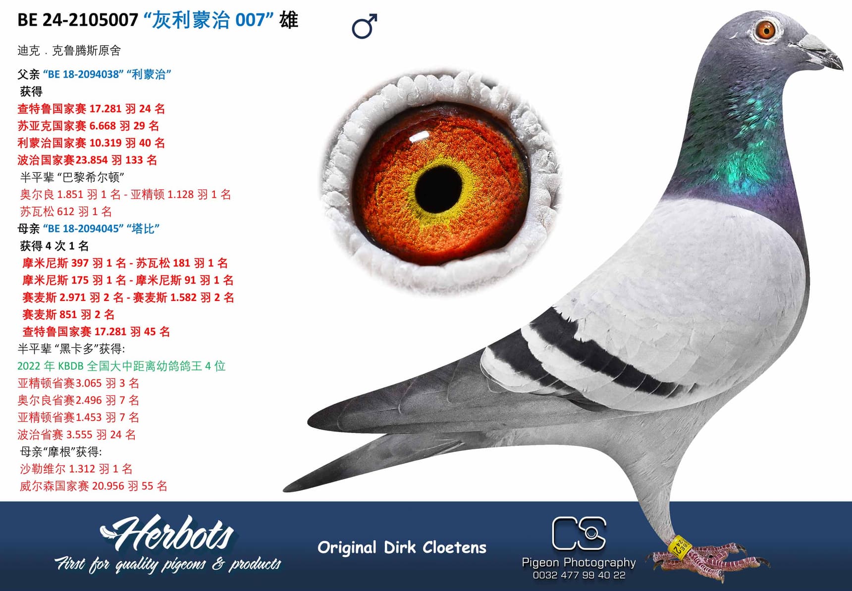 pigeon: undefined