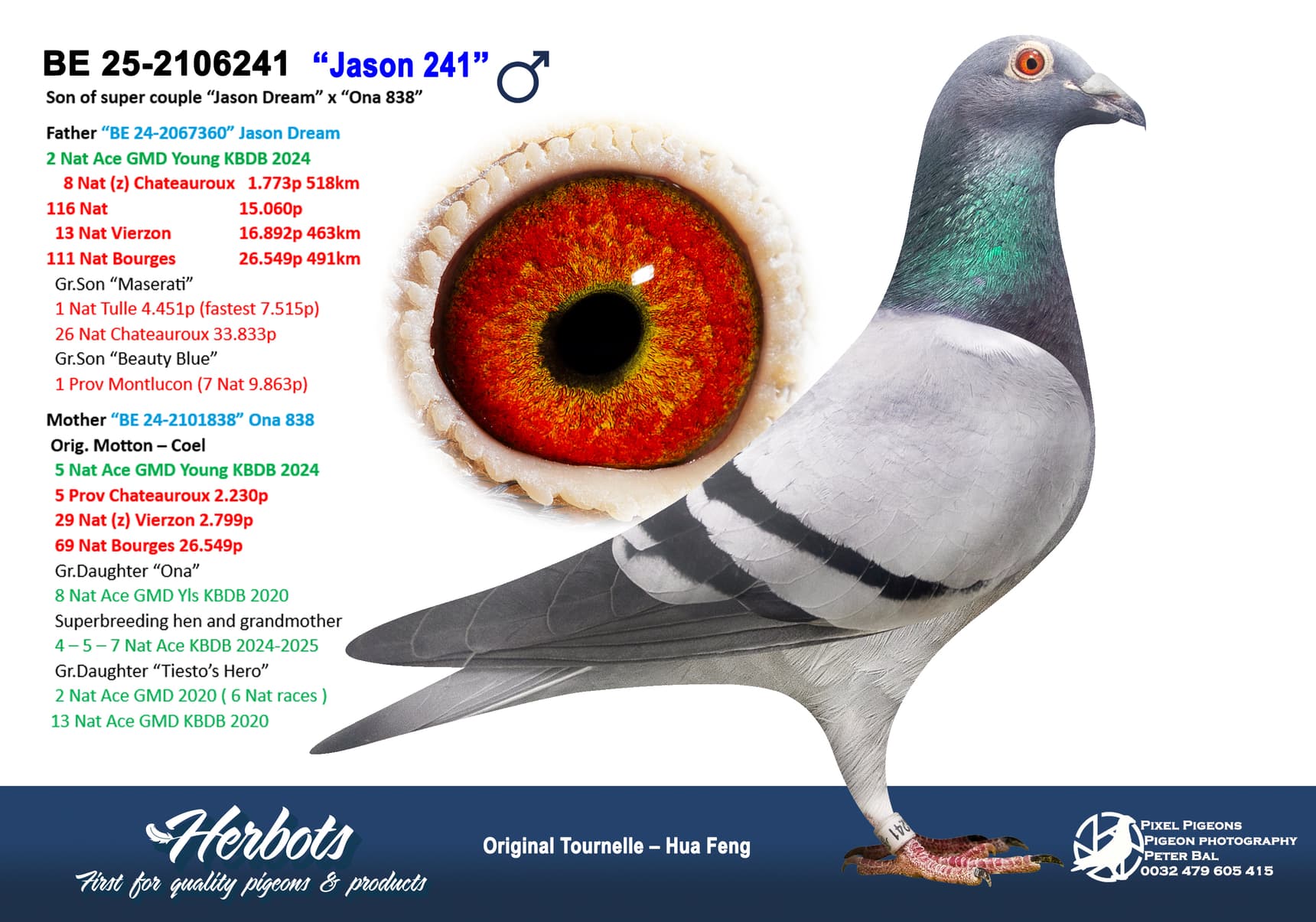 pigeon: undefined