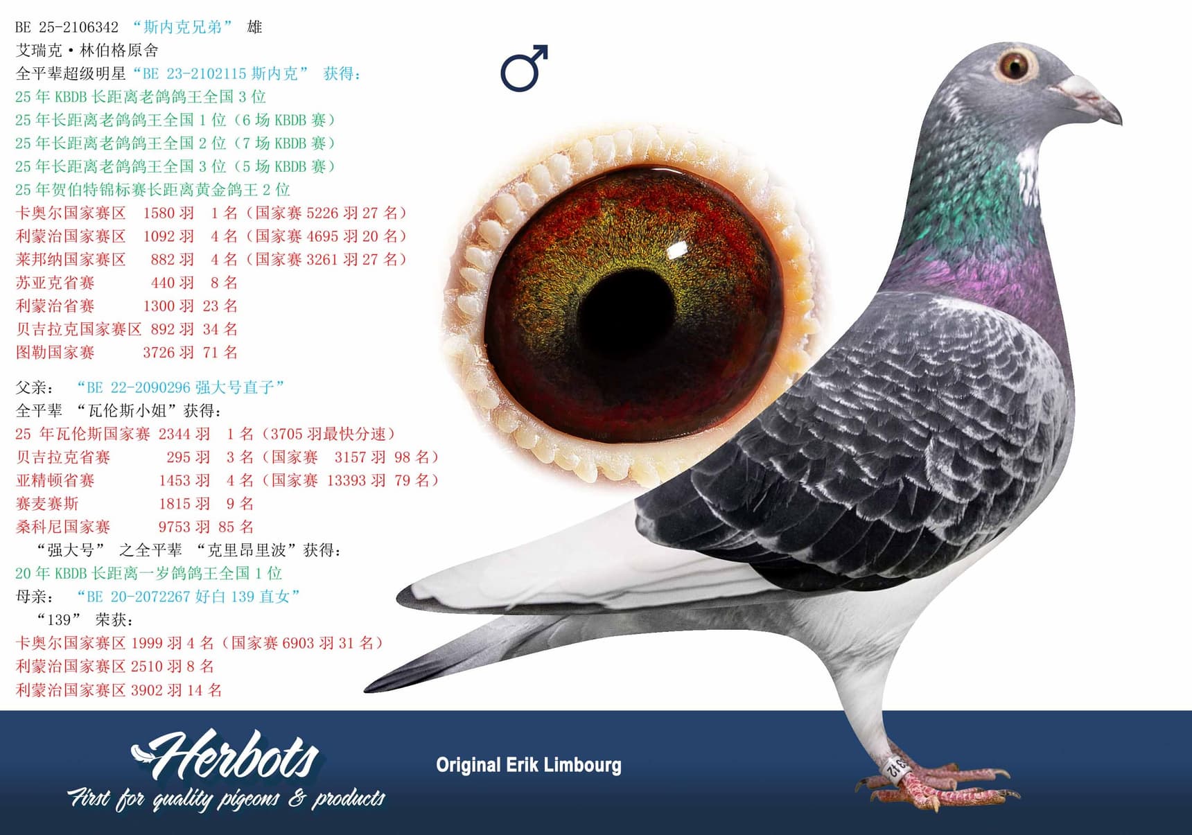 pigeon: undefined