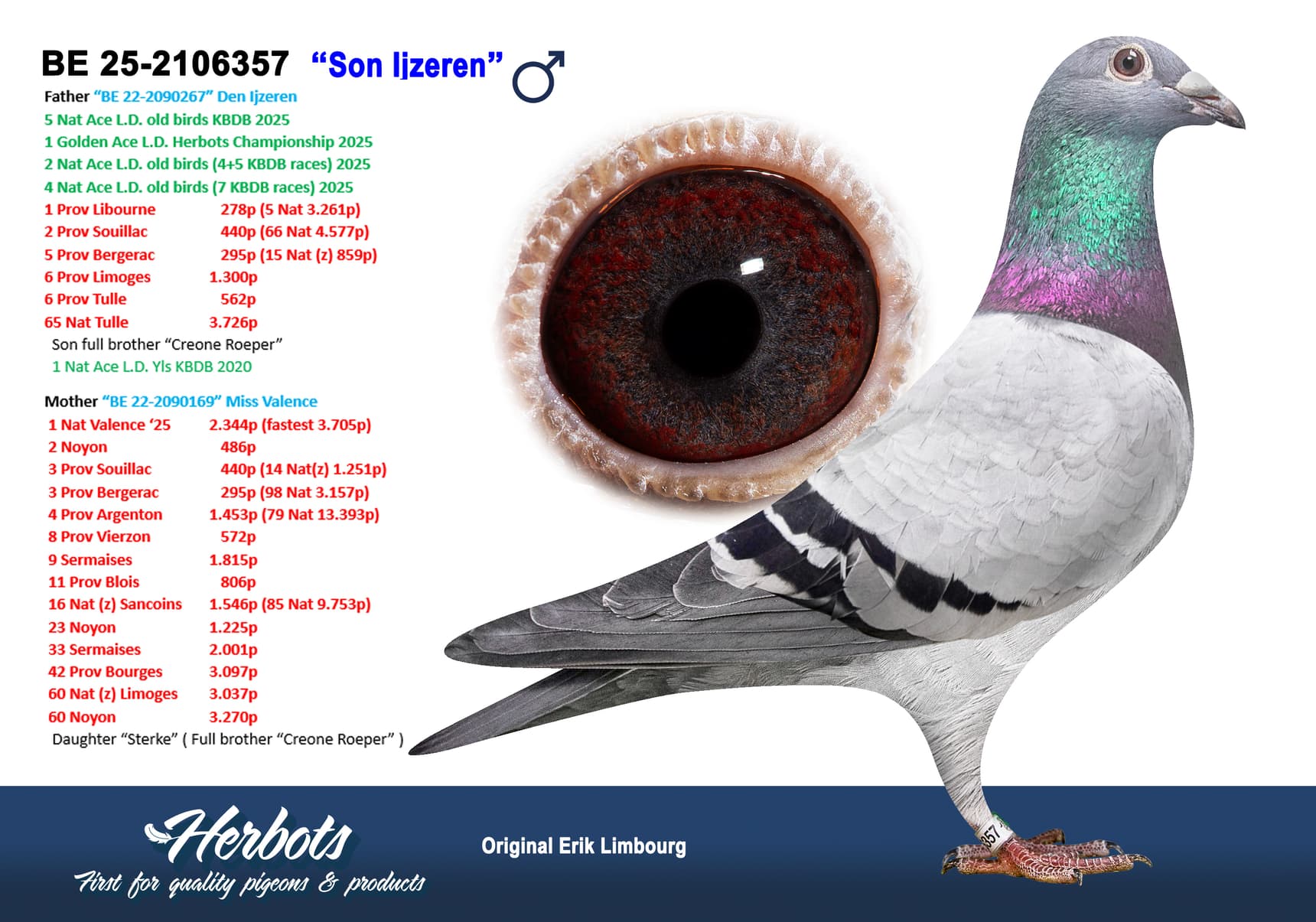 pigeon: undefined