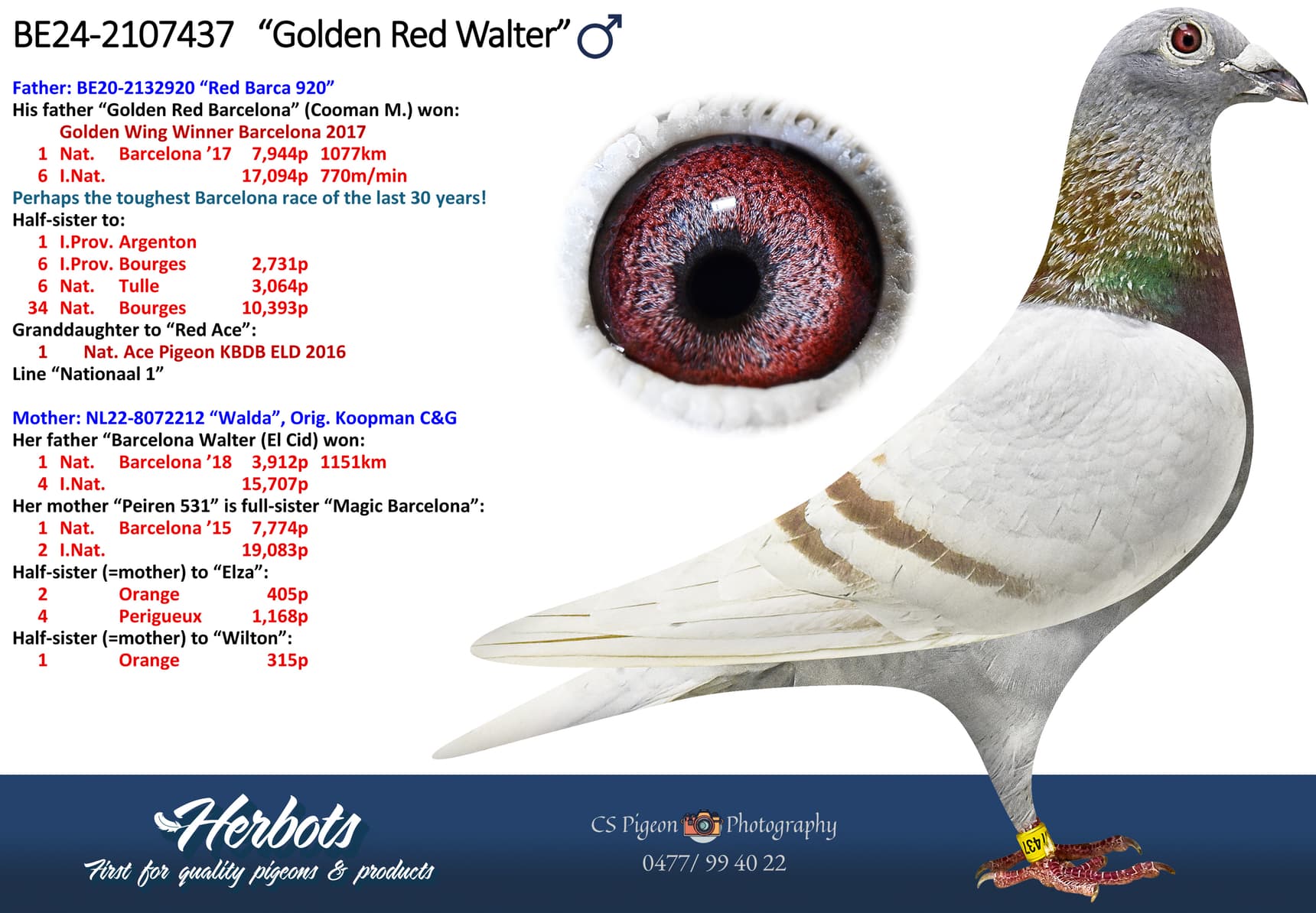 ‘Golden Red Walter’