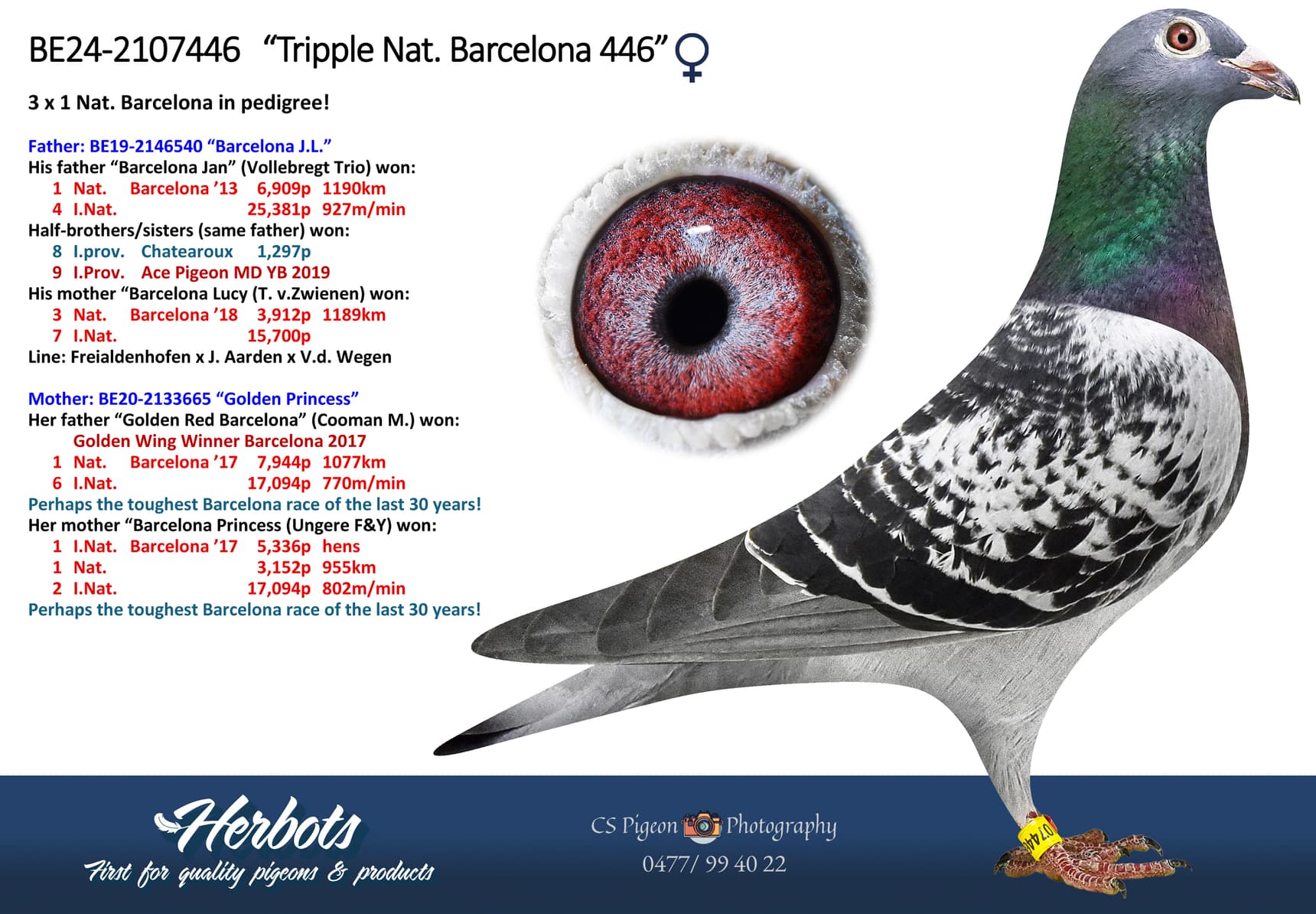 ‘Tripple Nat. Barcelona 446’