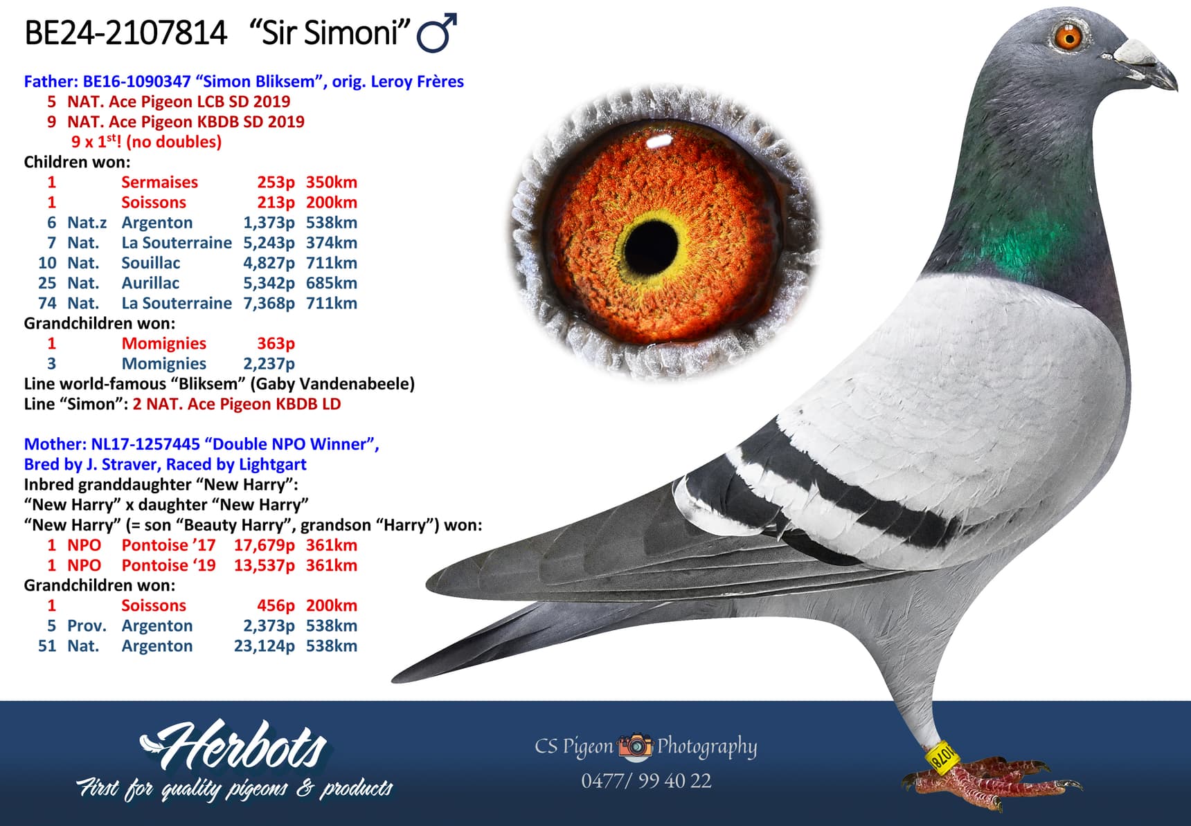 ‘Sir Simoni’