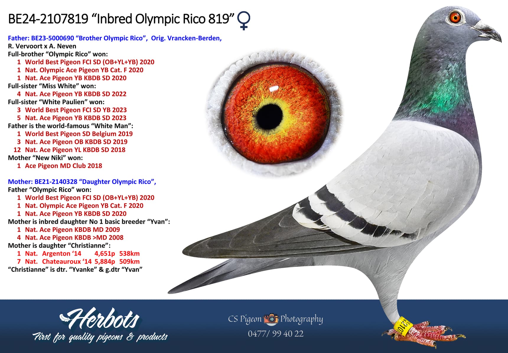‘Inbred Olympic Rico 819’
