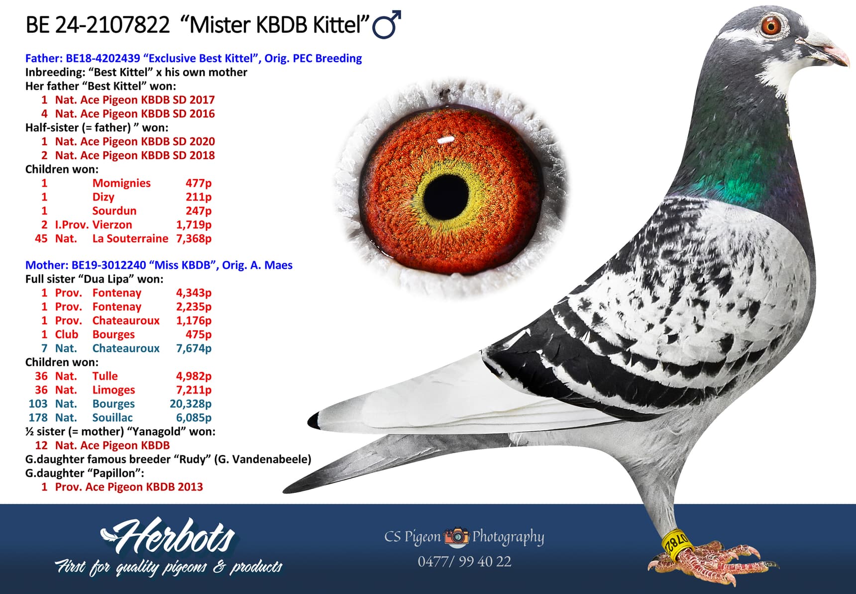 ‘Mister KBDB Kittel’