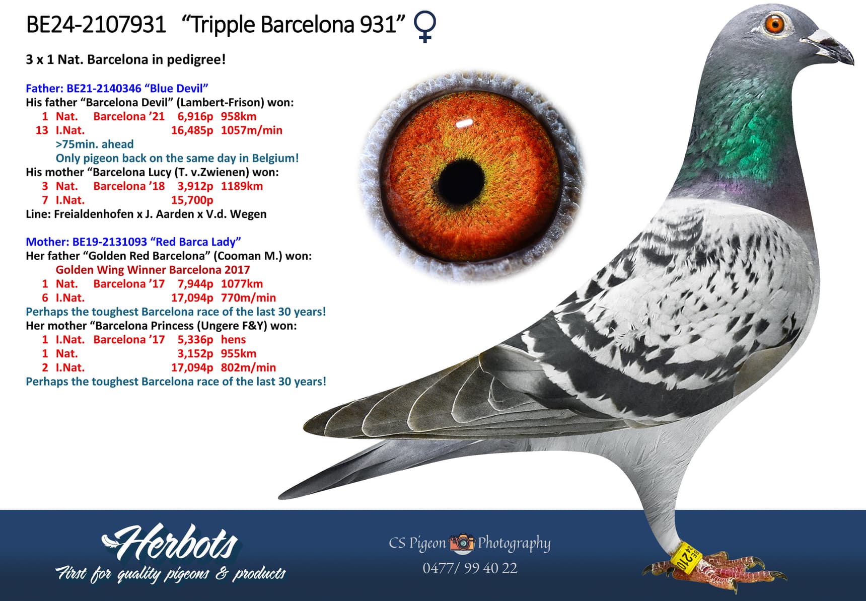 ‘Tripple Barcelona 931’