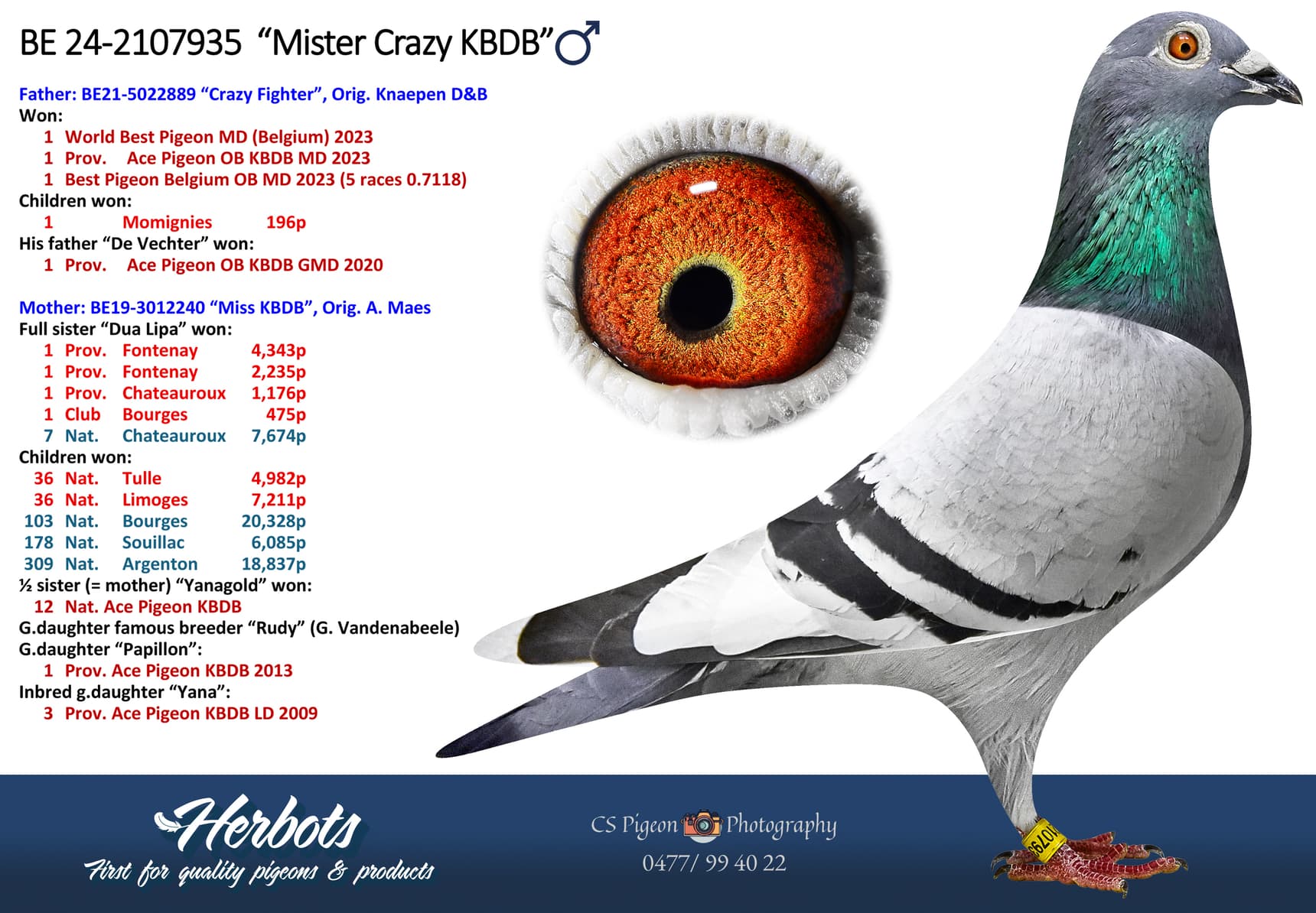 ‘Mister Crazy KBDB’