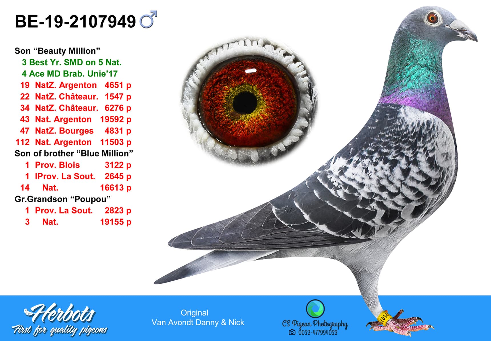 pigeon: undefined