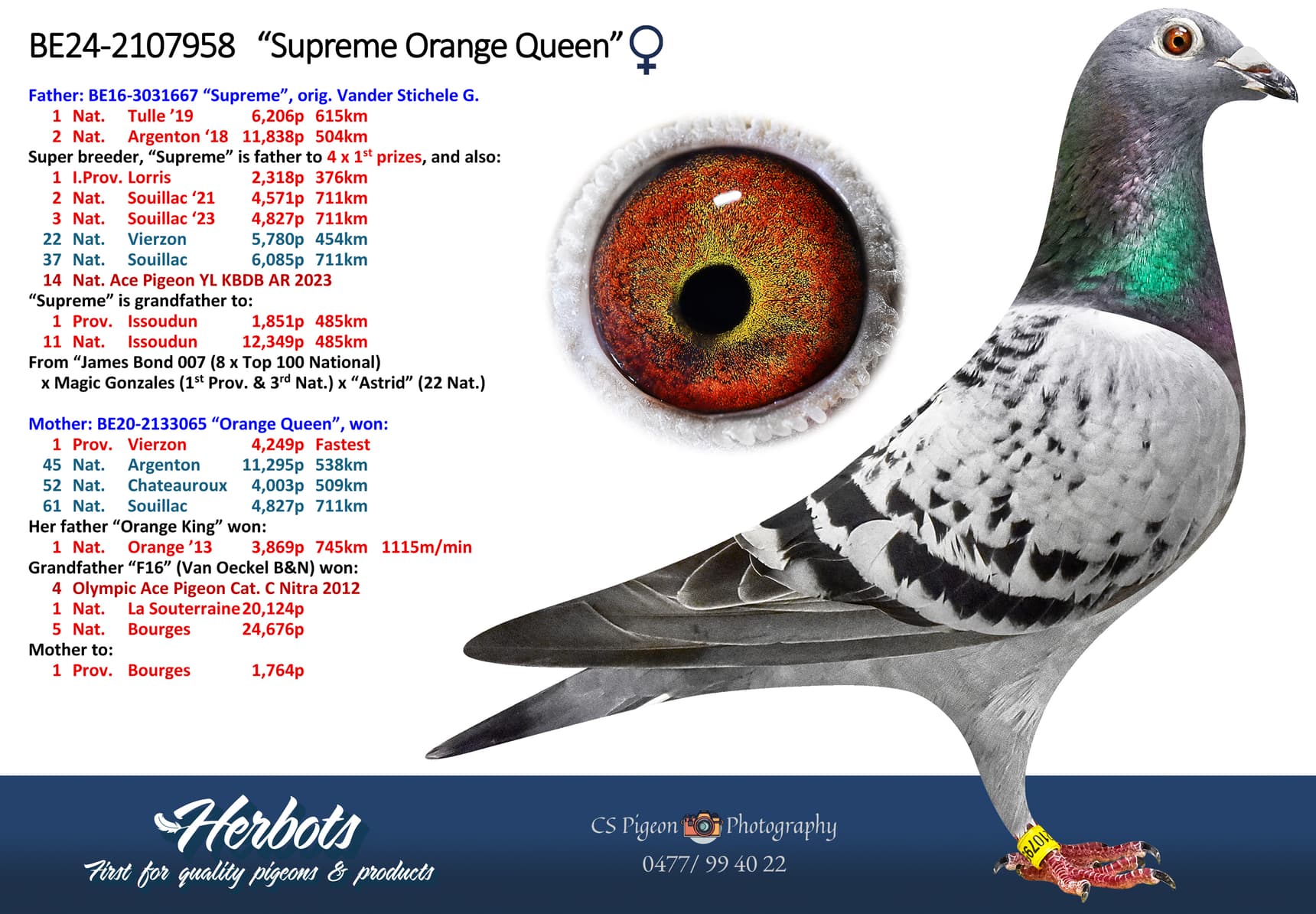 ‘Supreme Orange Queen’