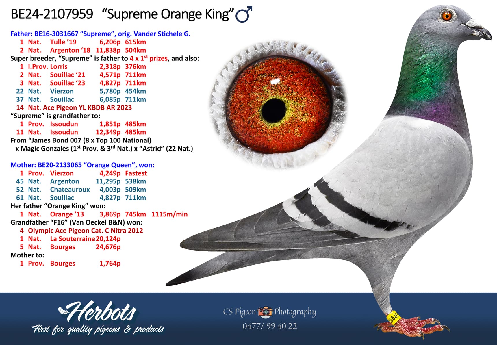 ‘Supreme Orange King’