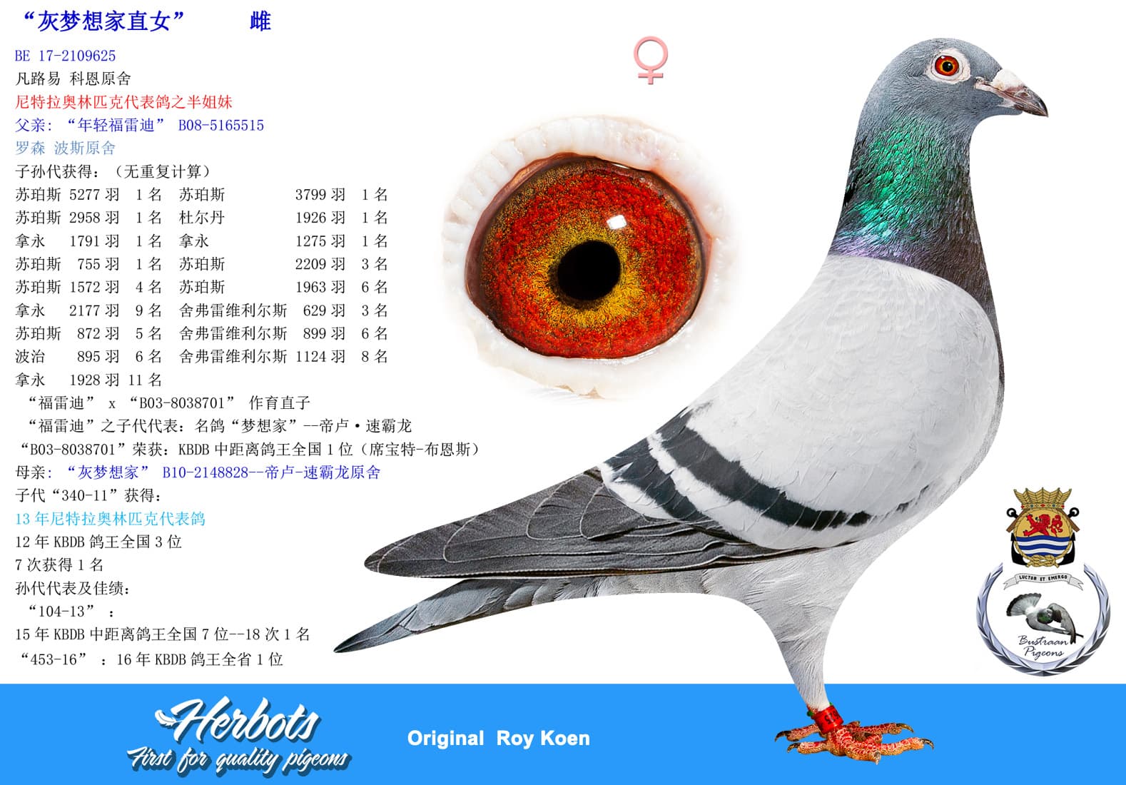 pigeon: undefined