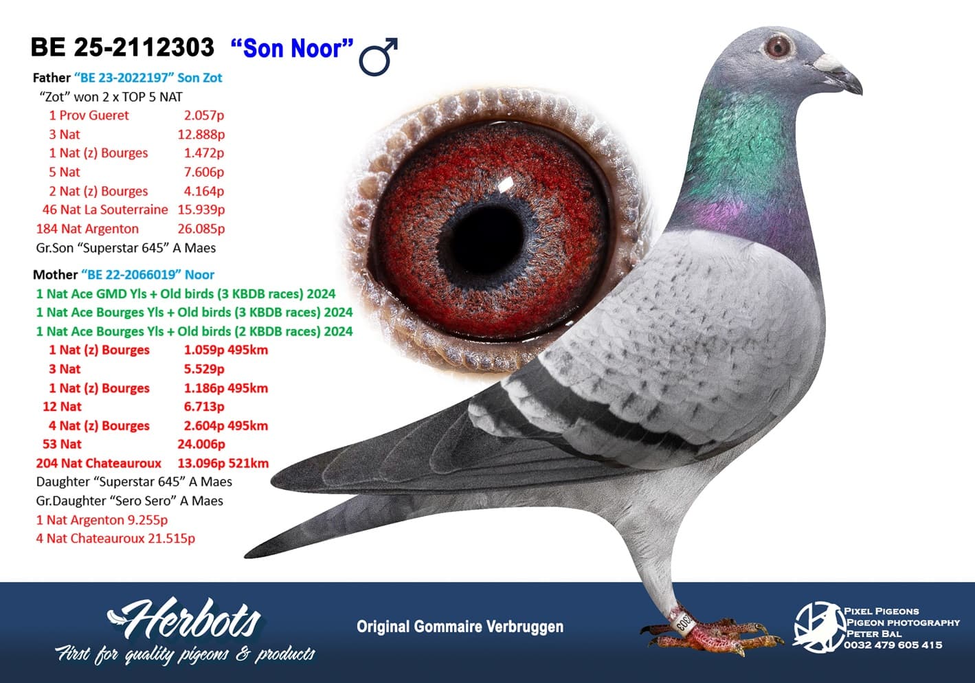 pigeon: undefined