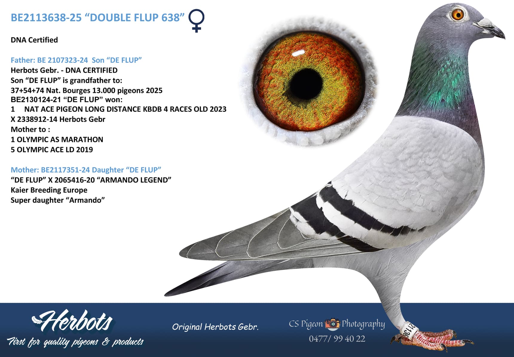 “DOUBLE FLUP 638”