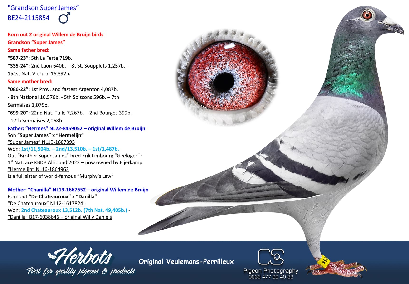 pigeon: undefined