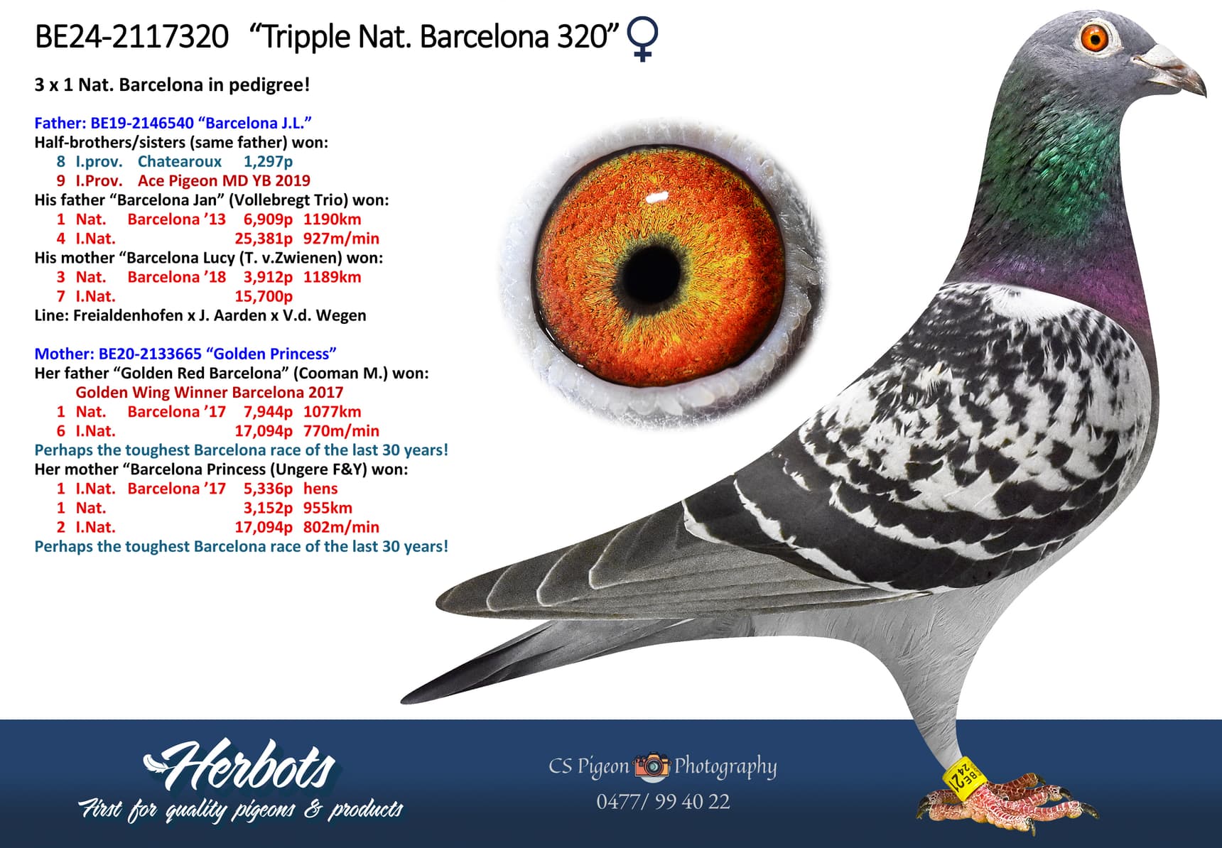 ‘Tripple Nat. Barcelona 320’