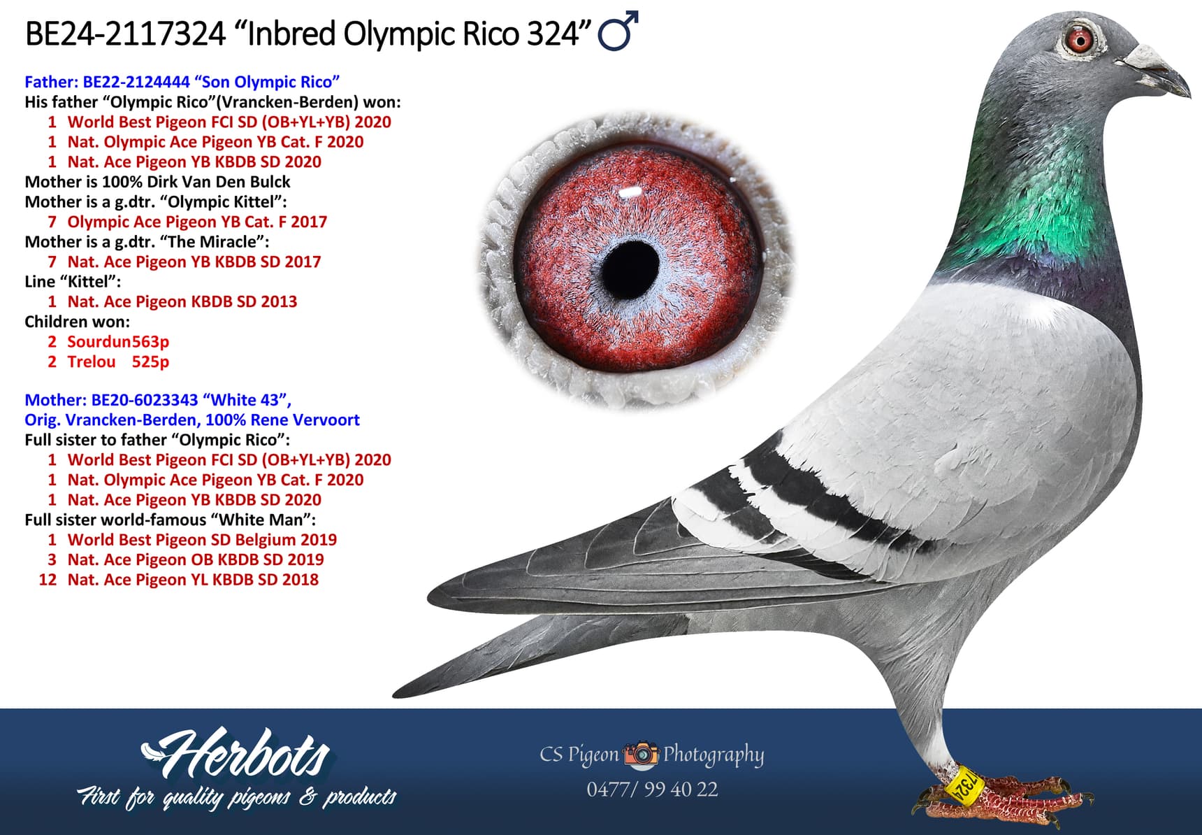 ‘Inbred Olympic Rico 324’