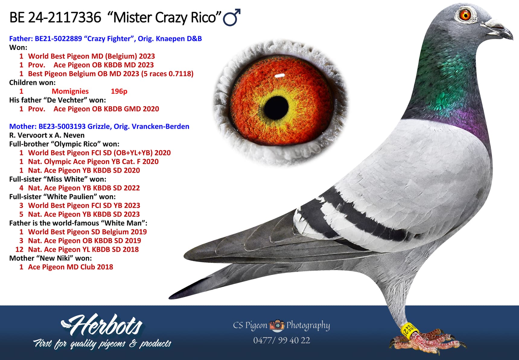 ‘Mister Crazy Rico’