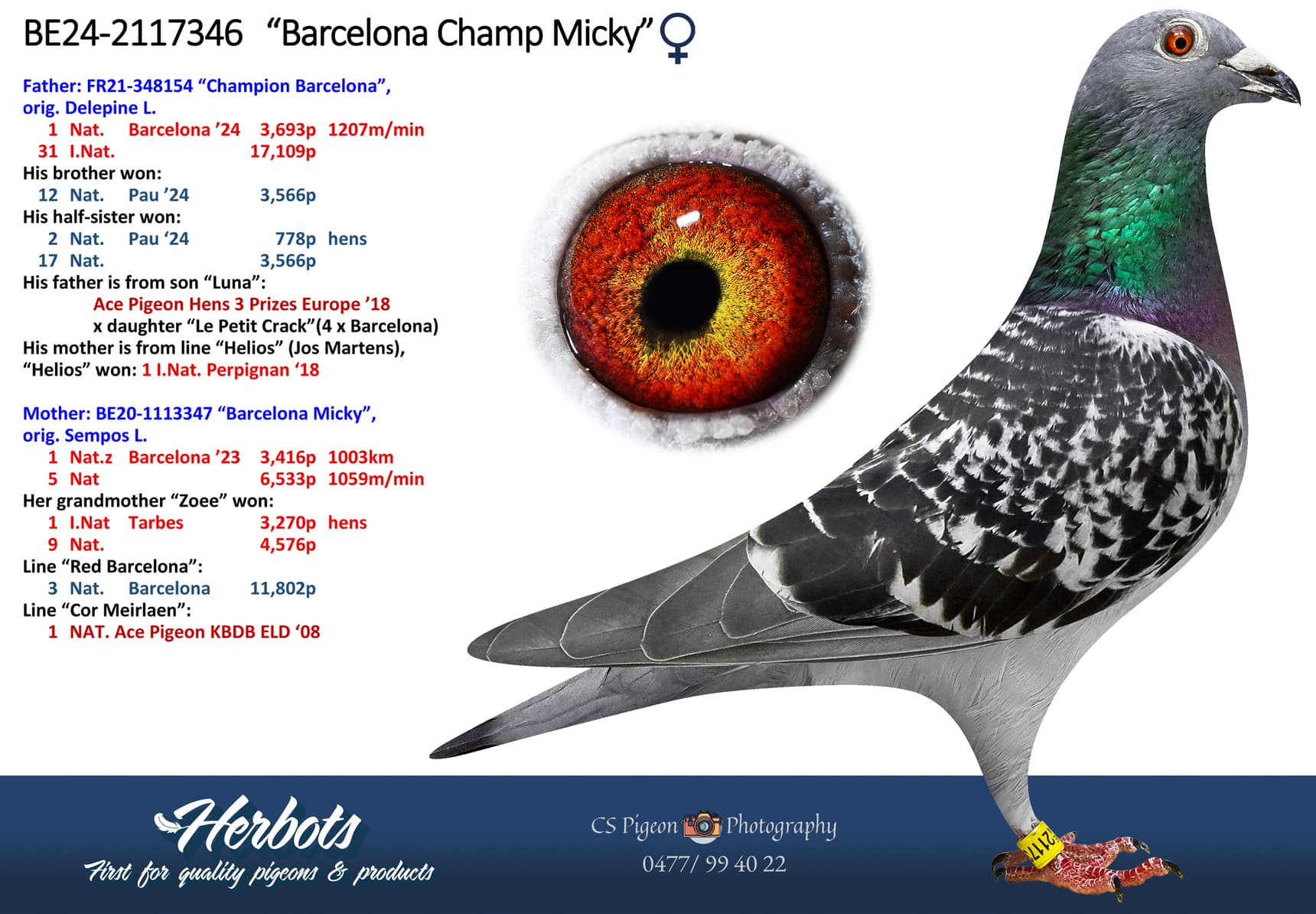 ‘Barcelona Champ Micky’