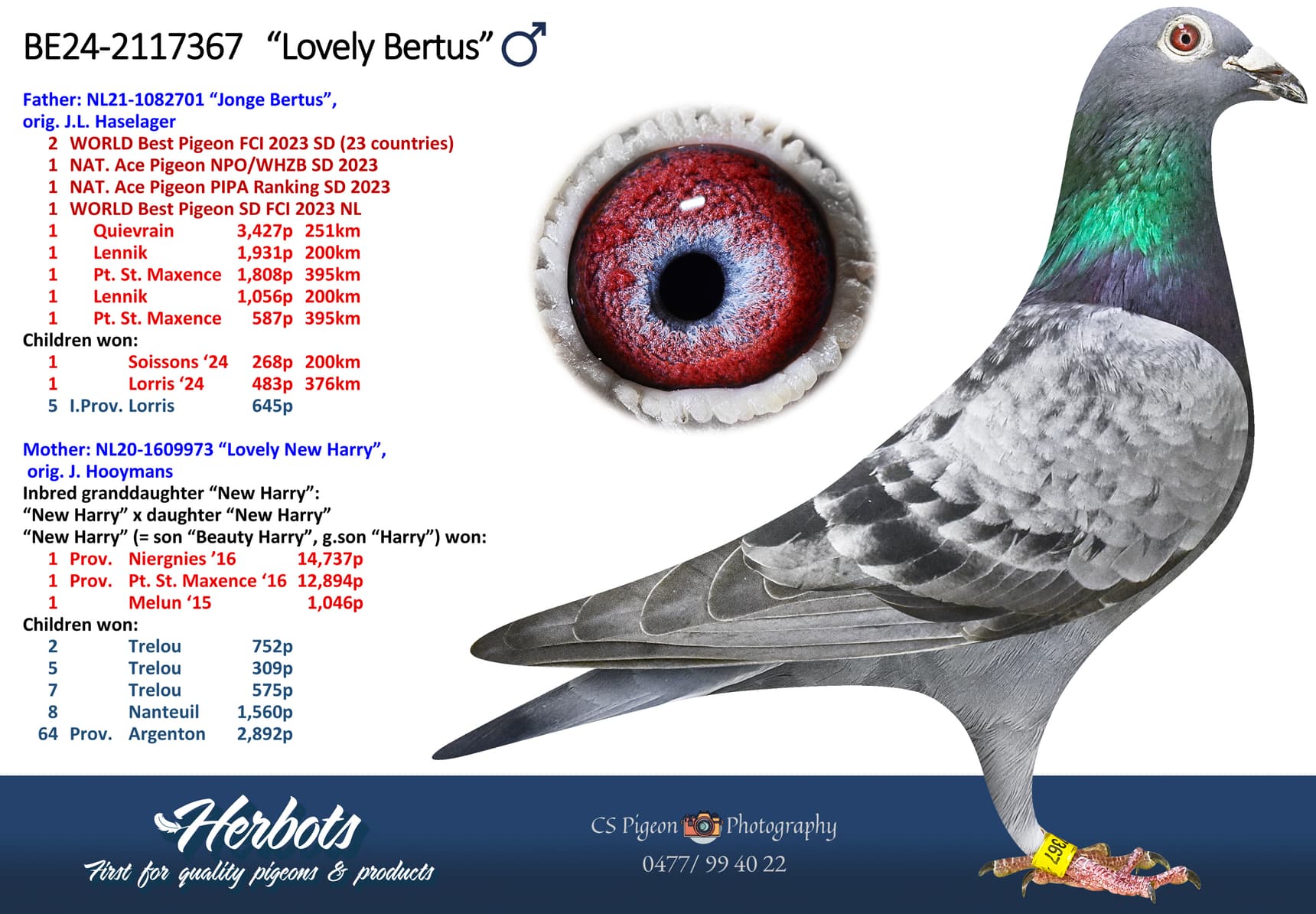 ‘Lovely Bertus’