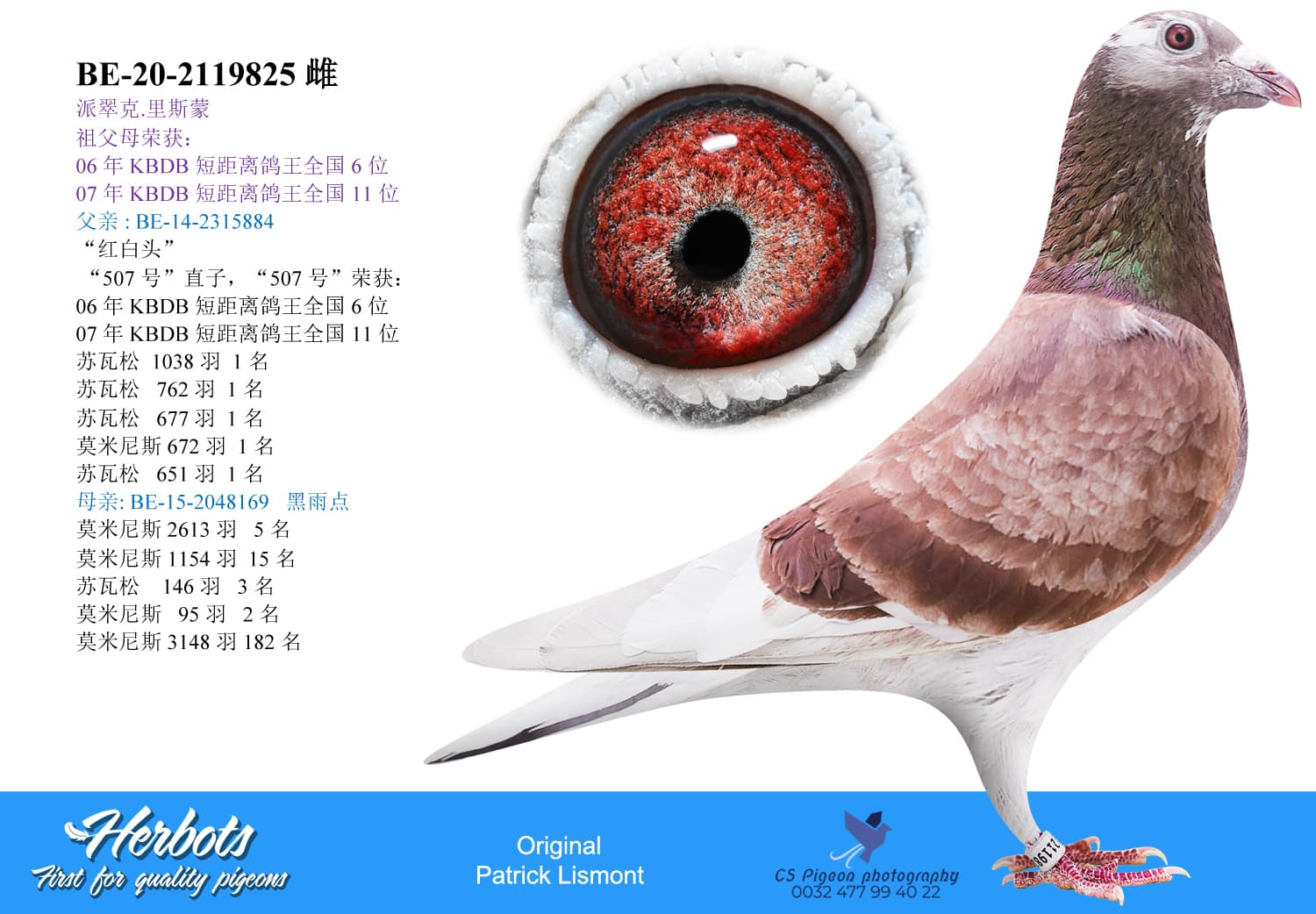 pigeon: undefined