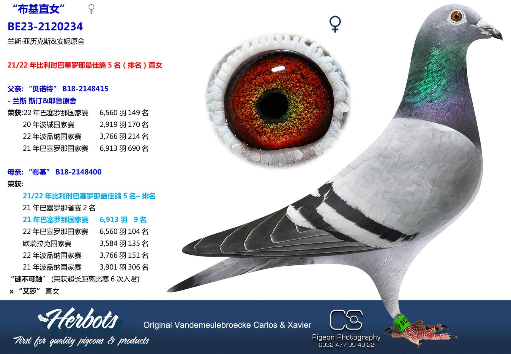 pigeon: undefined