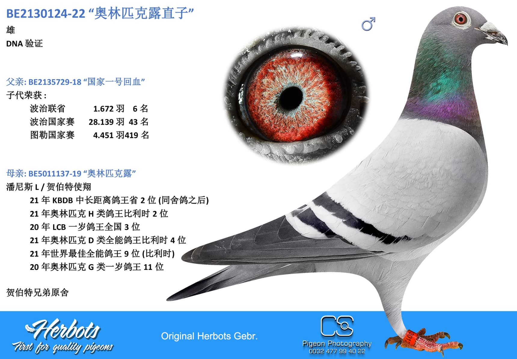 pigeon: “奥林匹克露直子”