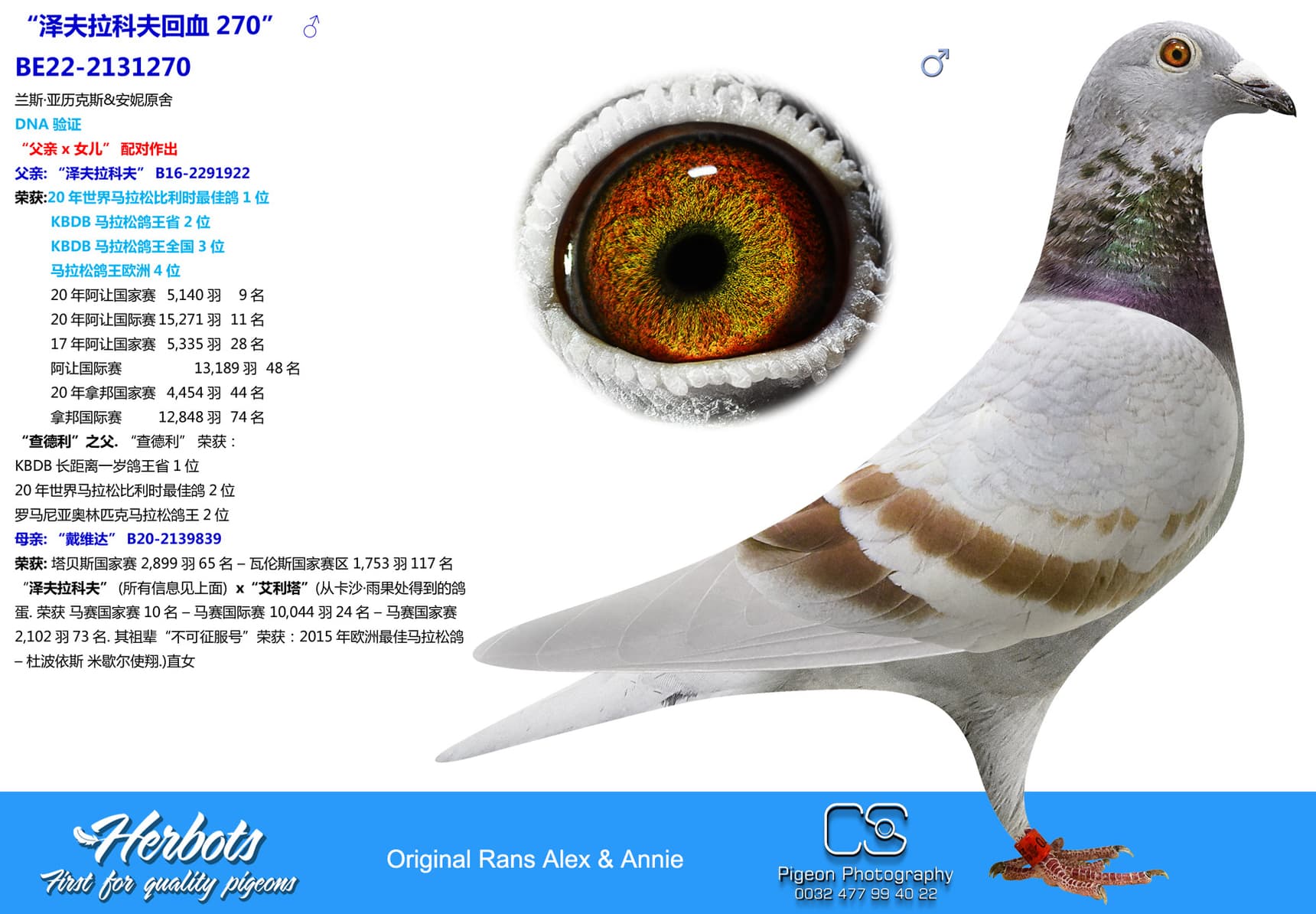 pigeon: “泽夫拉科夫回血270”