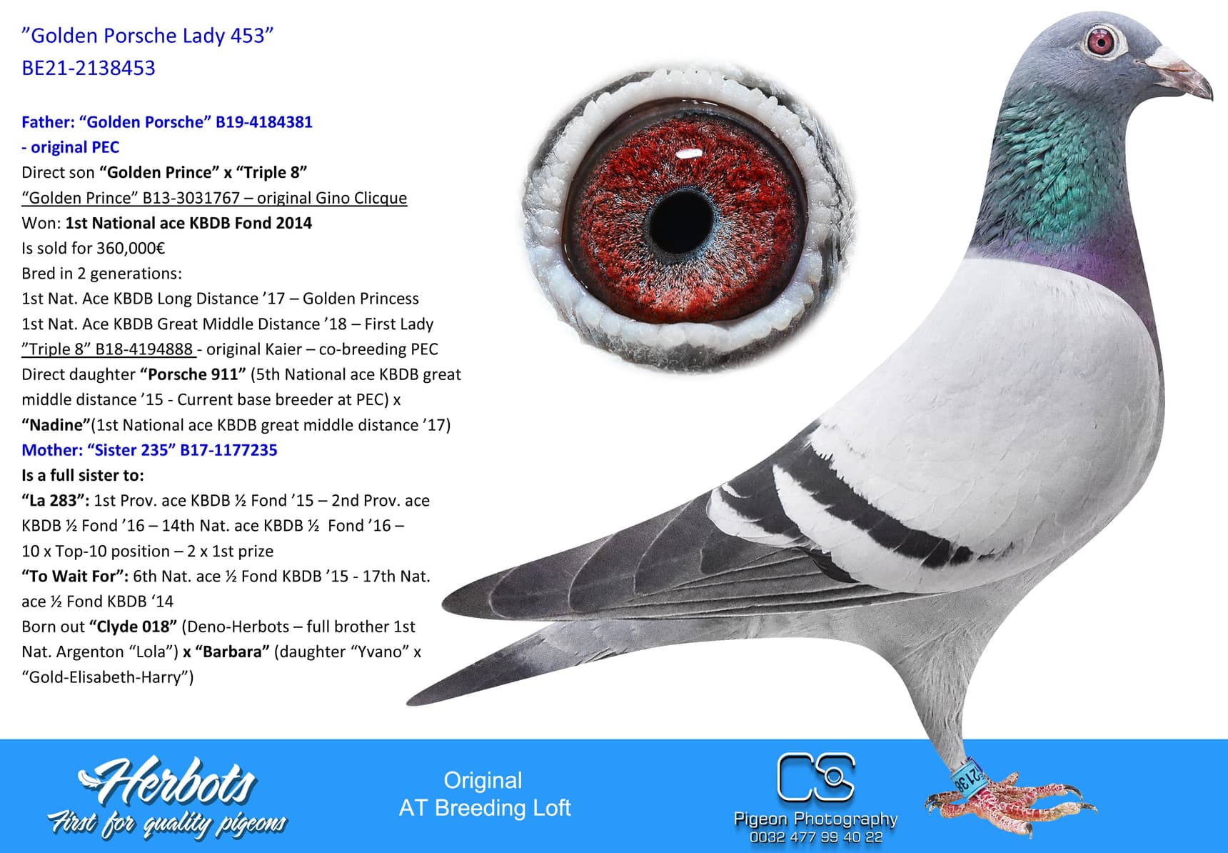 pigeon: undefined