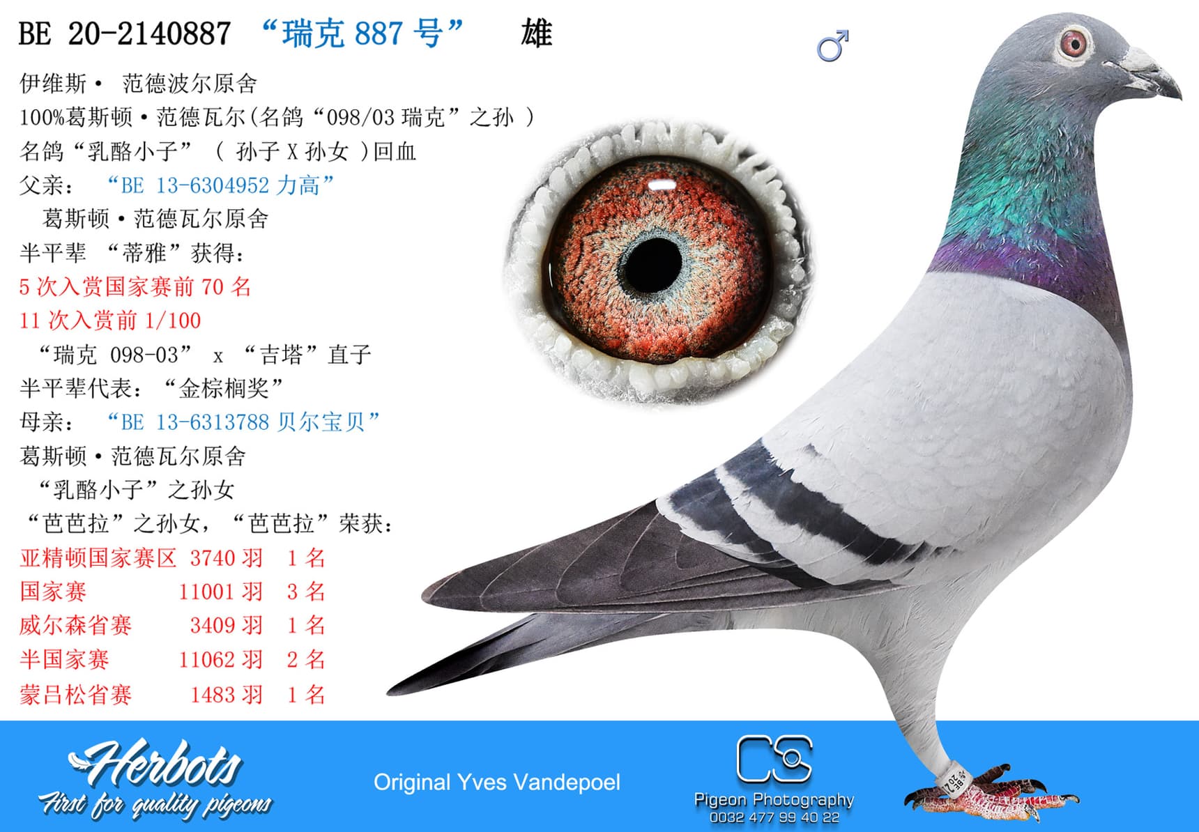pigeon: “瑞克887号”
