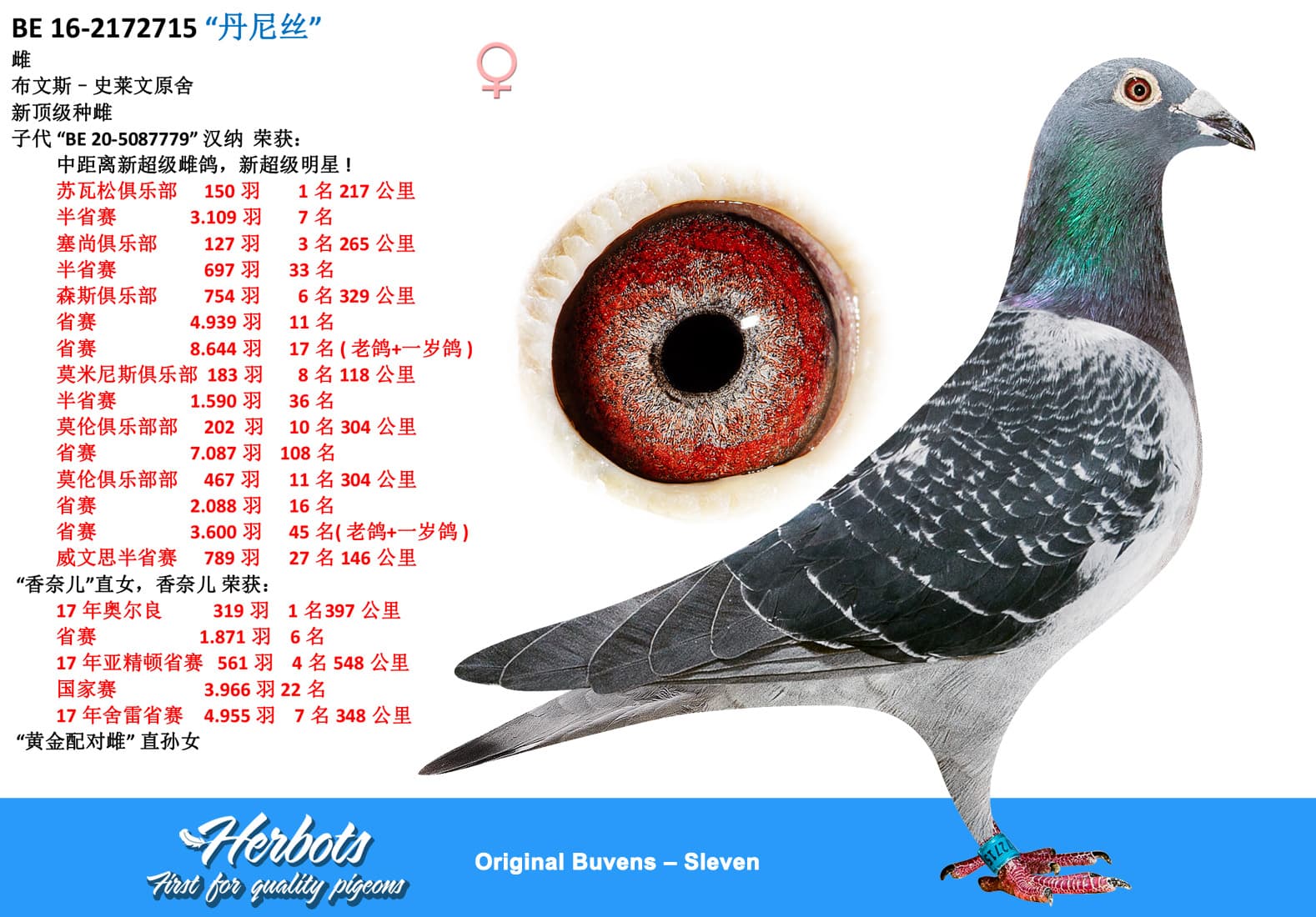 pigeon: undefined