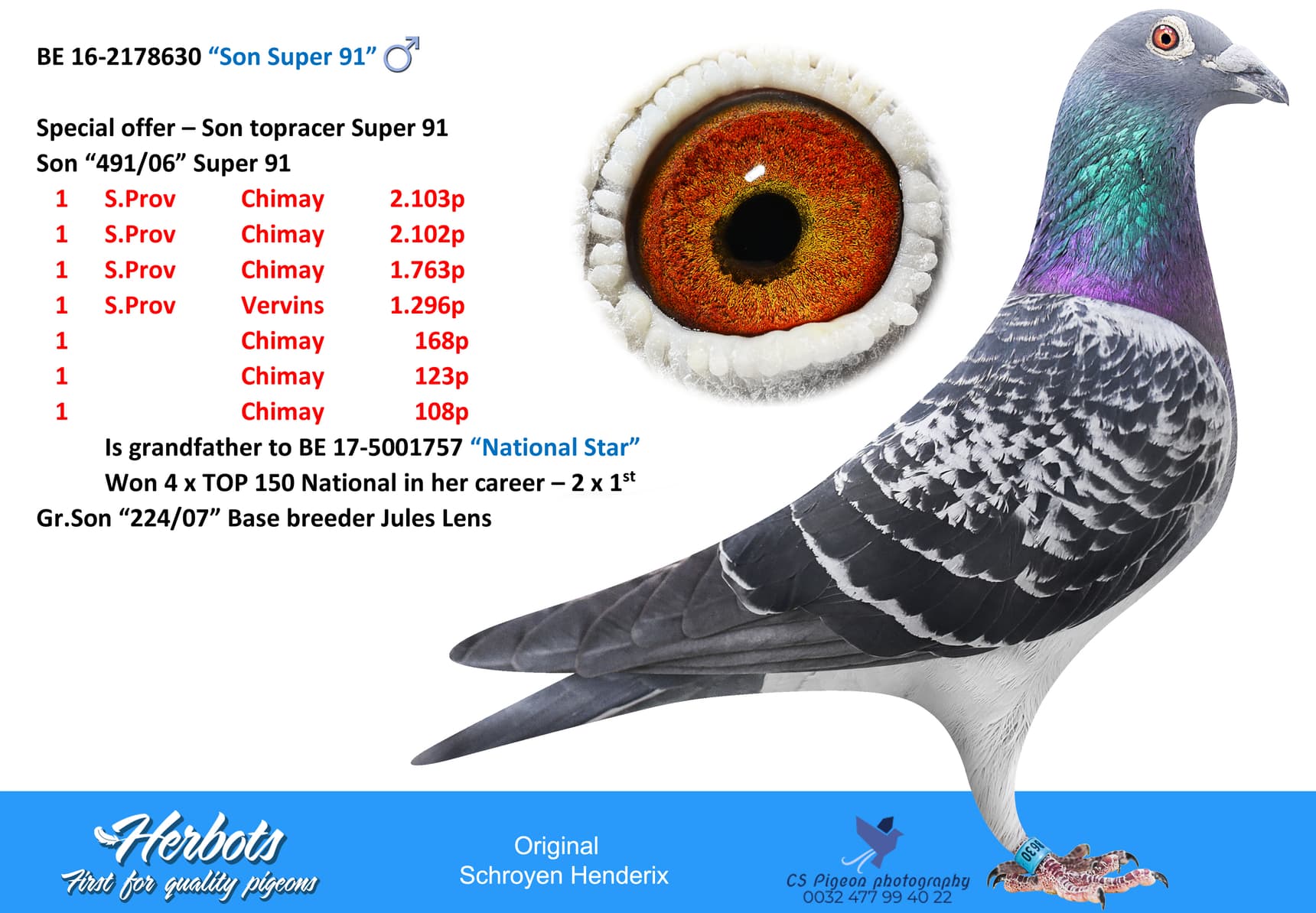 pigeon: “Son Super 91”