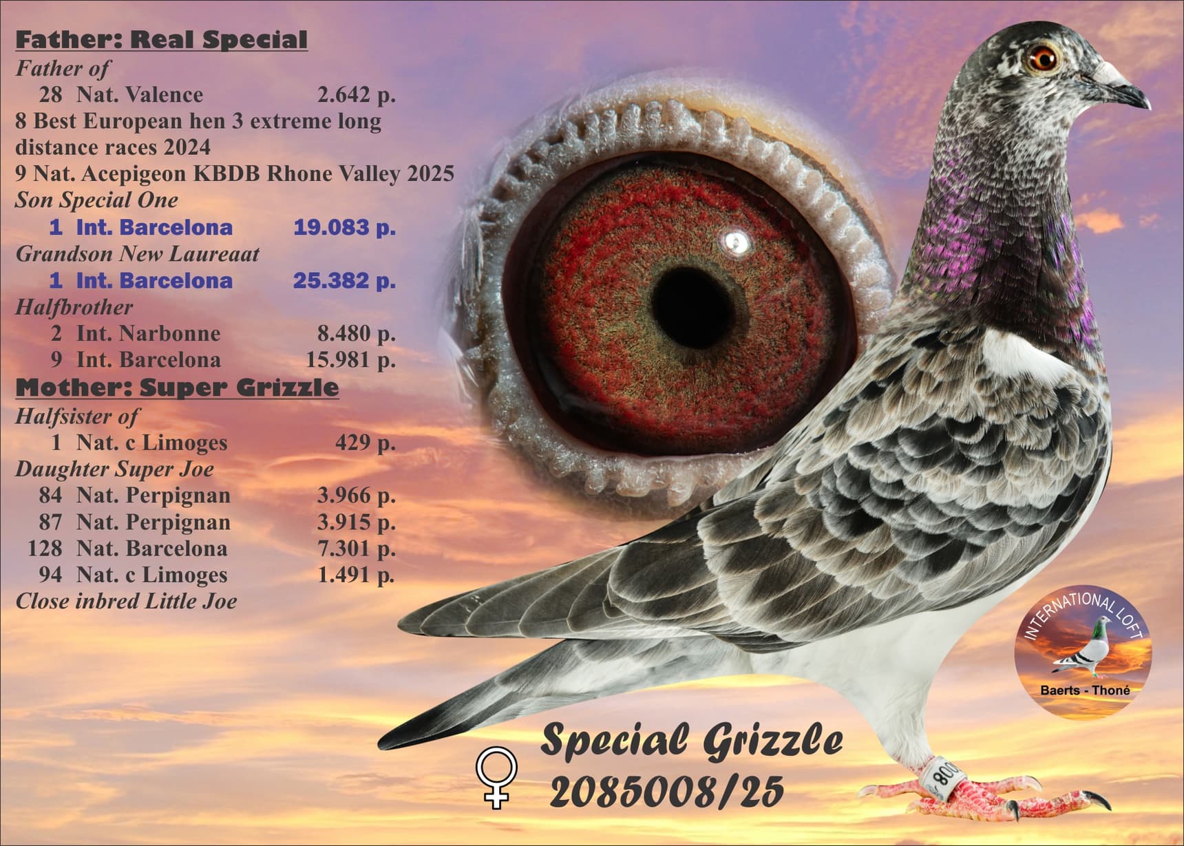 "Special Grizzle"