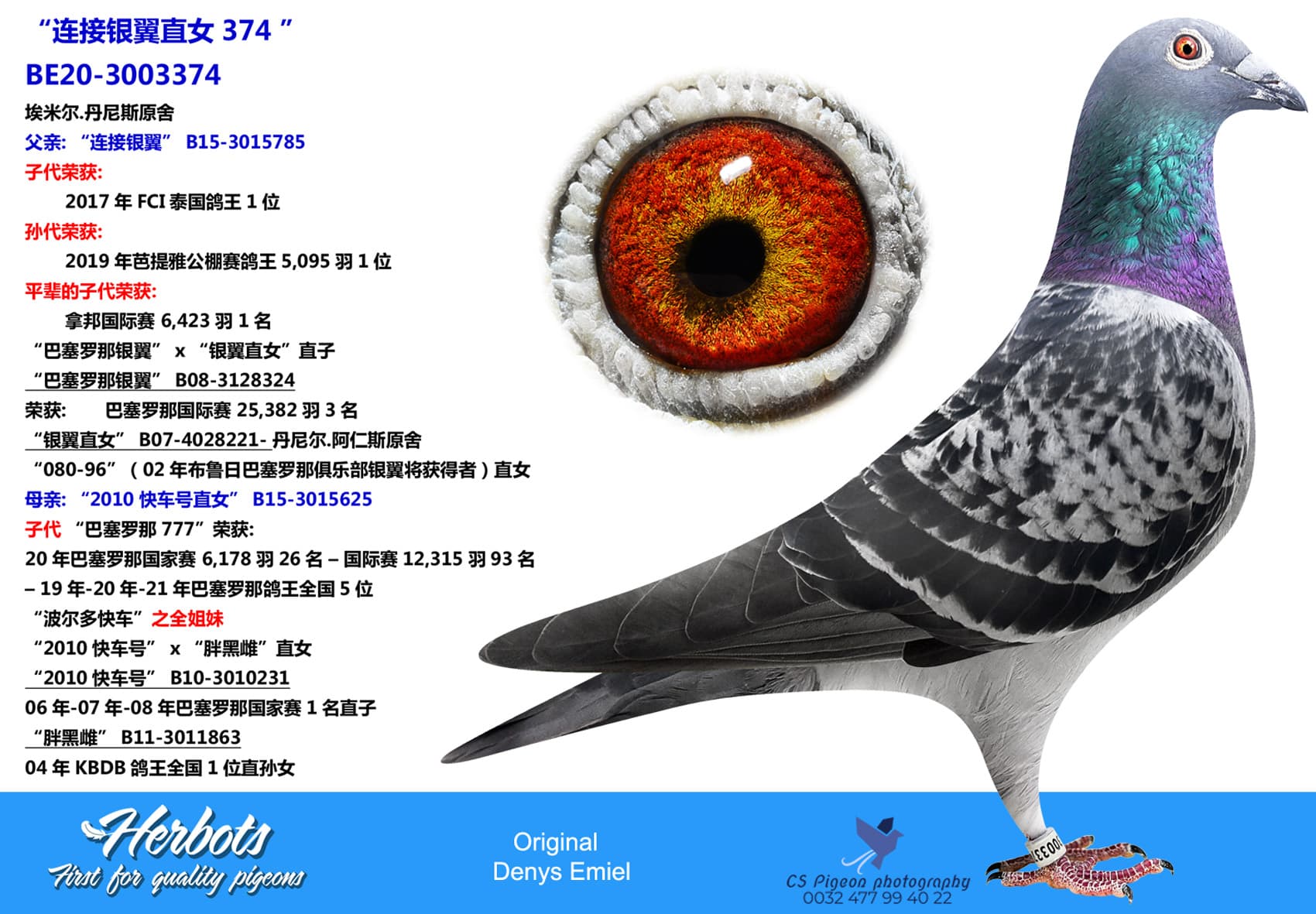 pigeon: undefined
