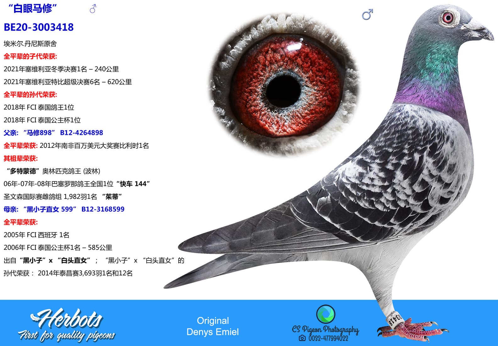 pigeon: undefined