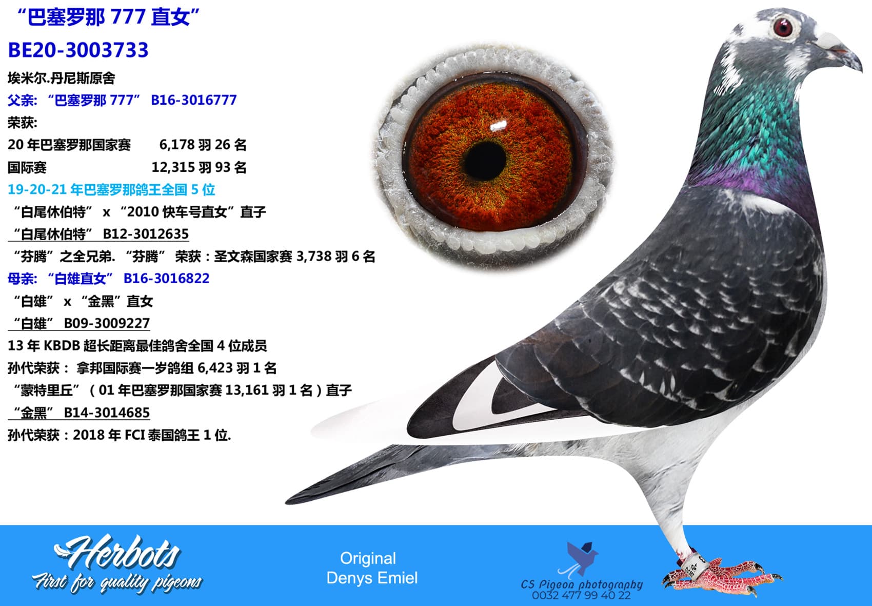 pigeon: undefined