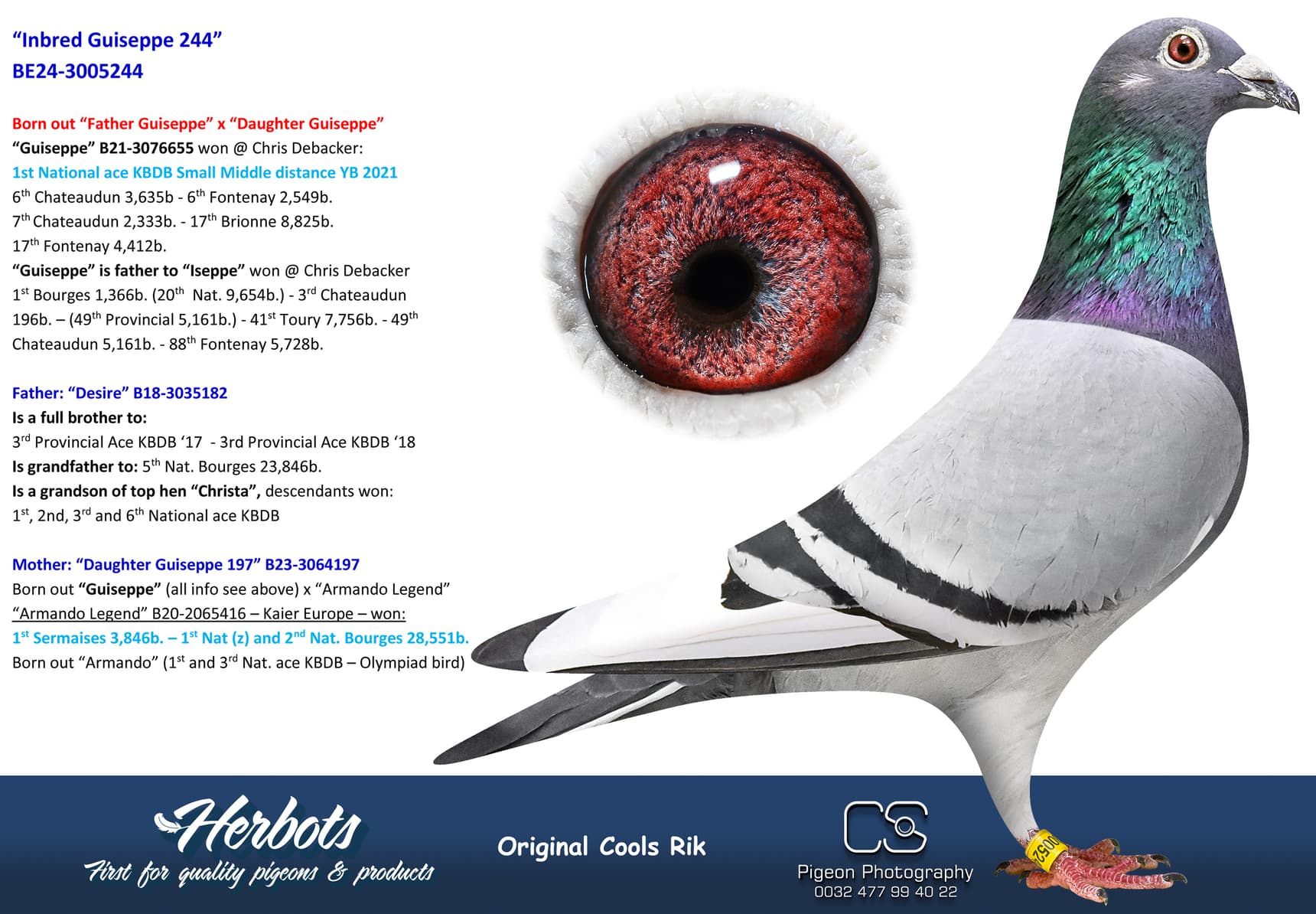 pigeon: undefined