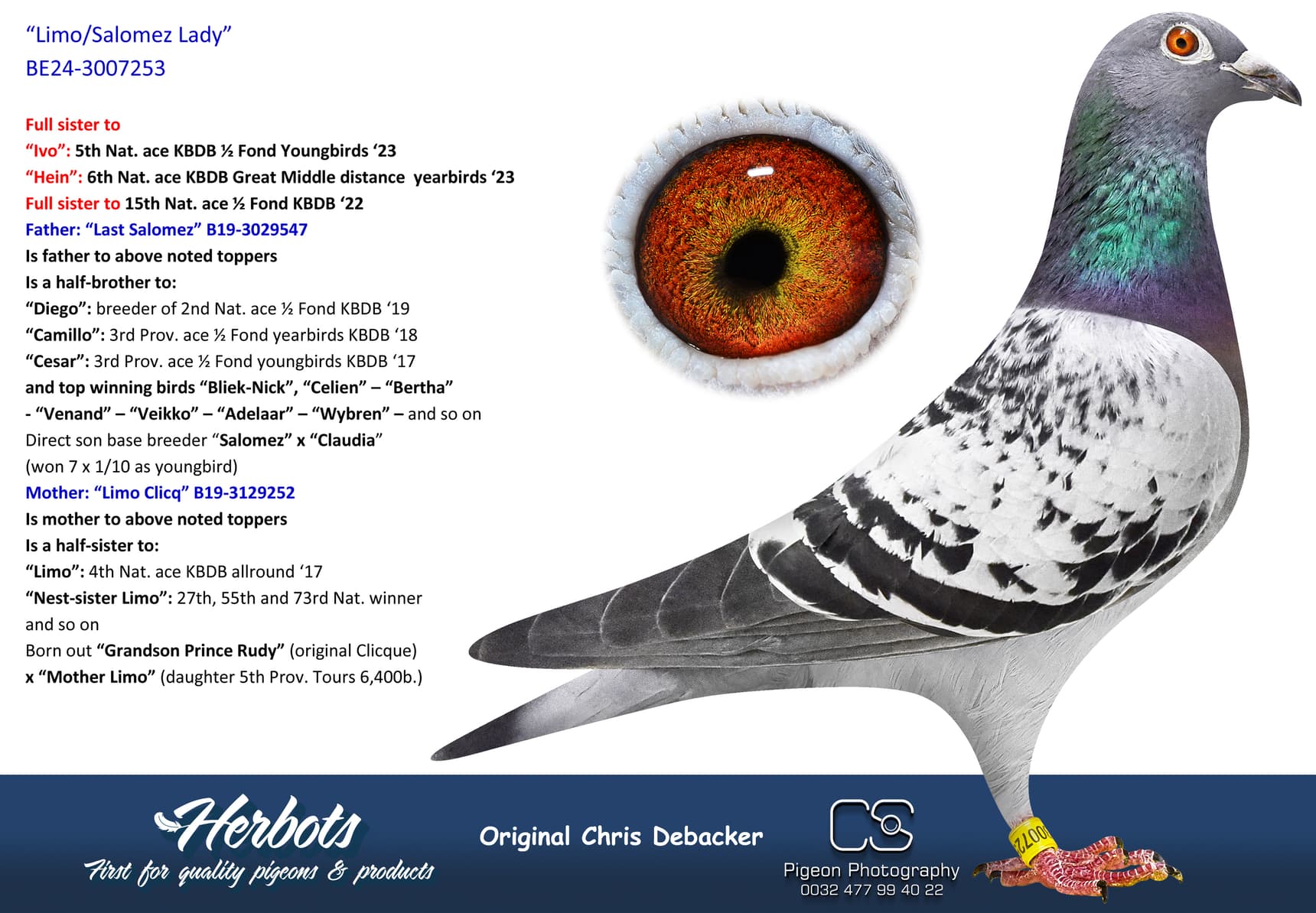 pigeon: undefined