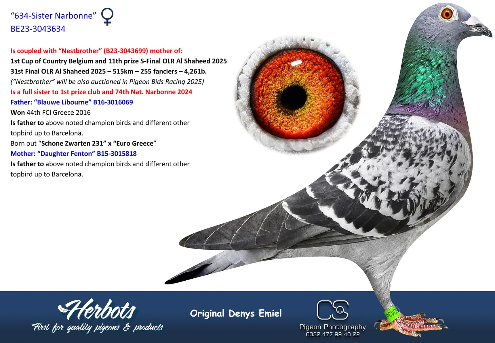 pigeon: undefined