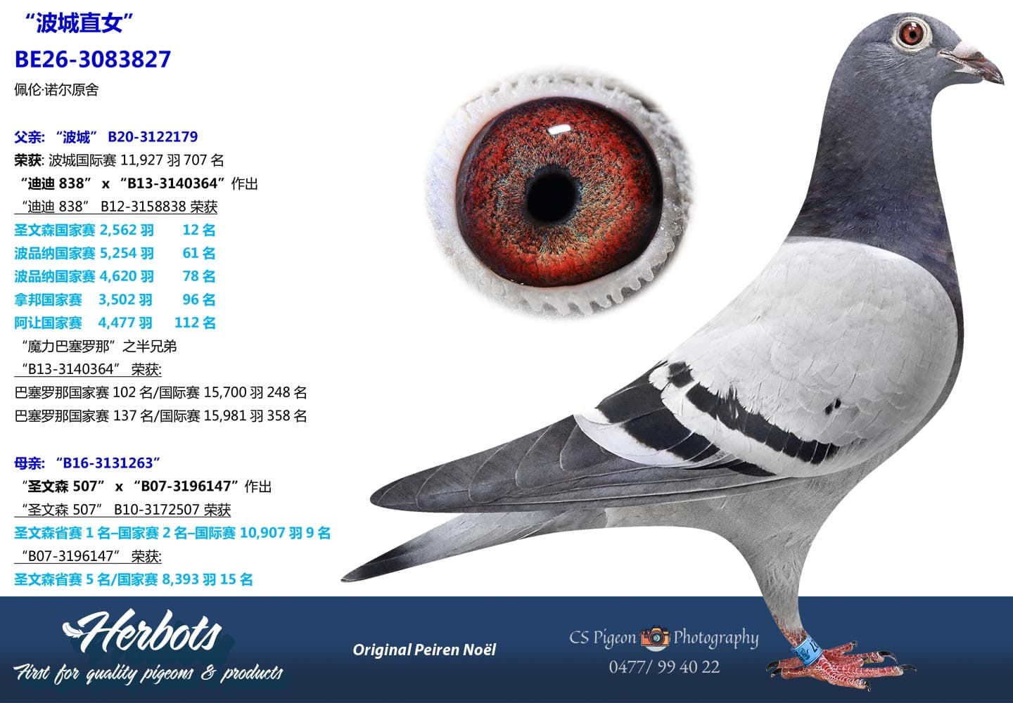 pigeon: undefined