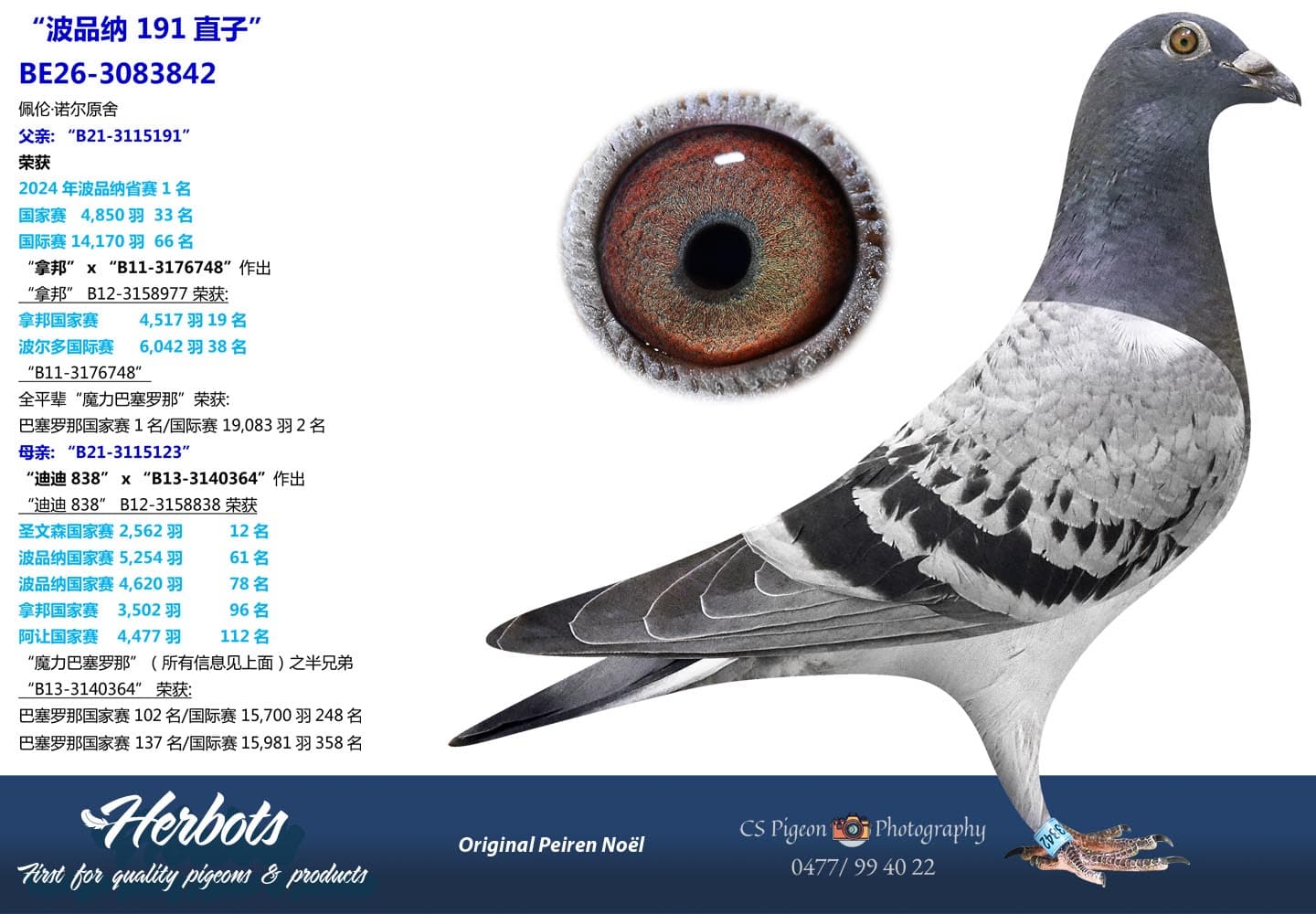 pigeon: undefined