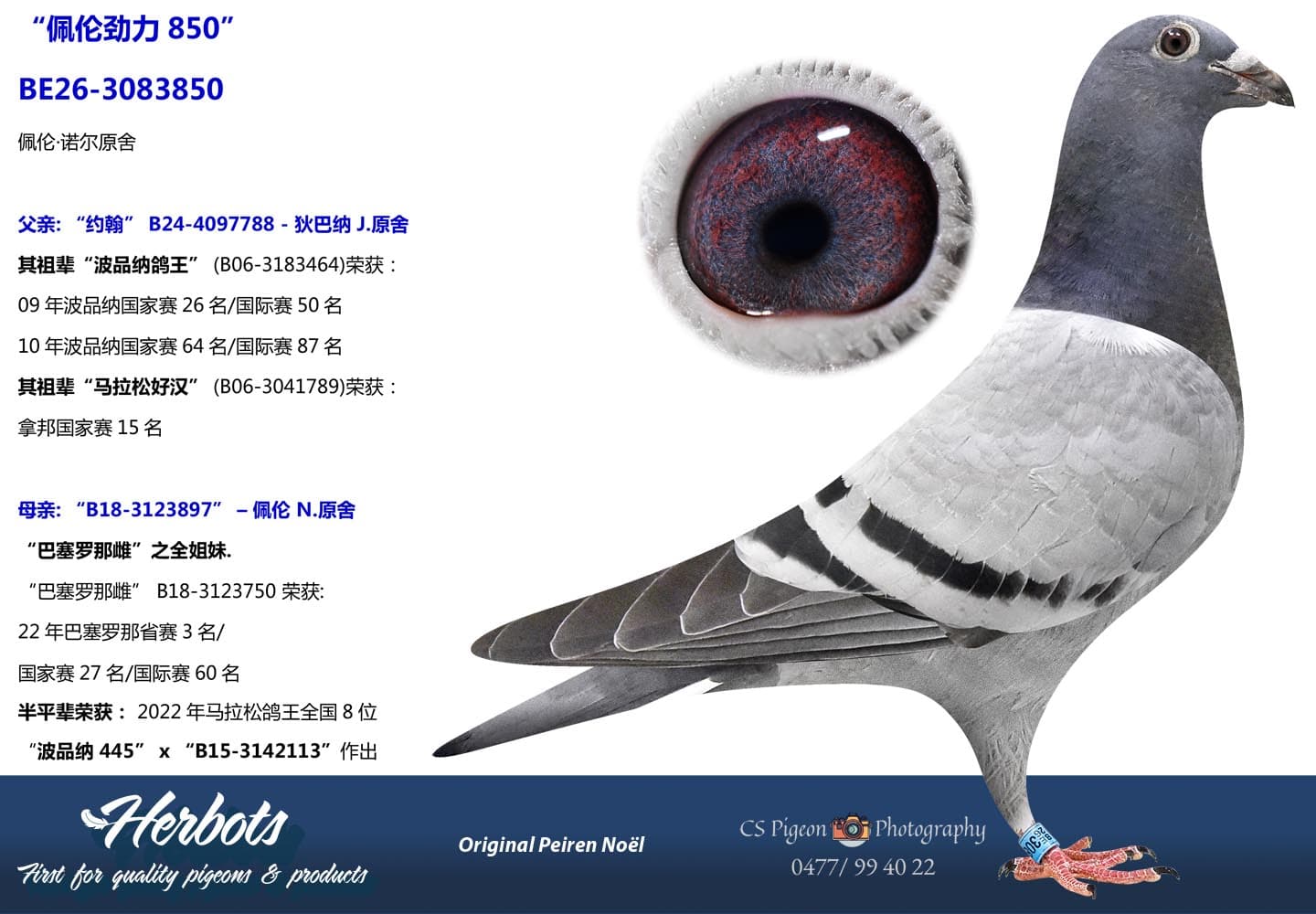 pigeon: undefined