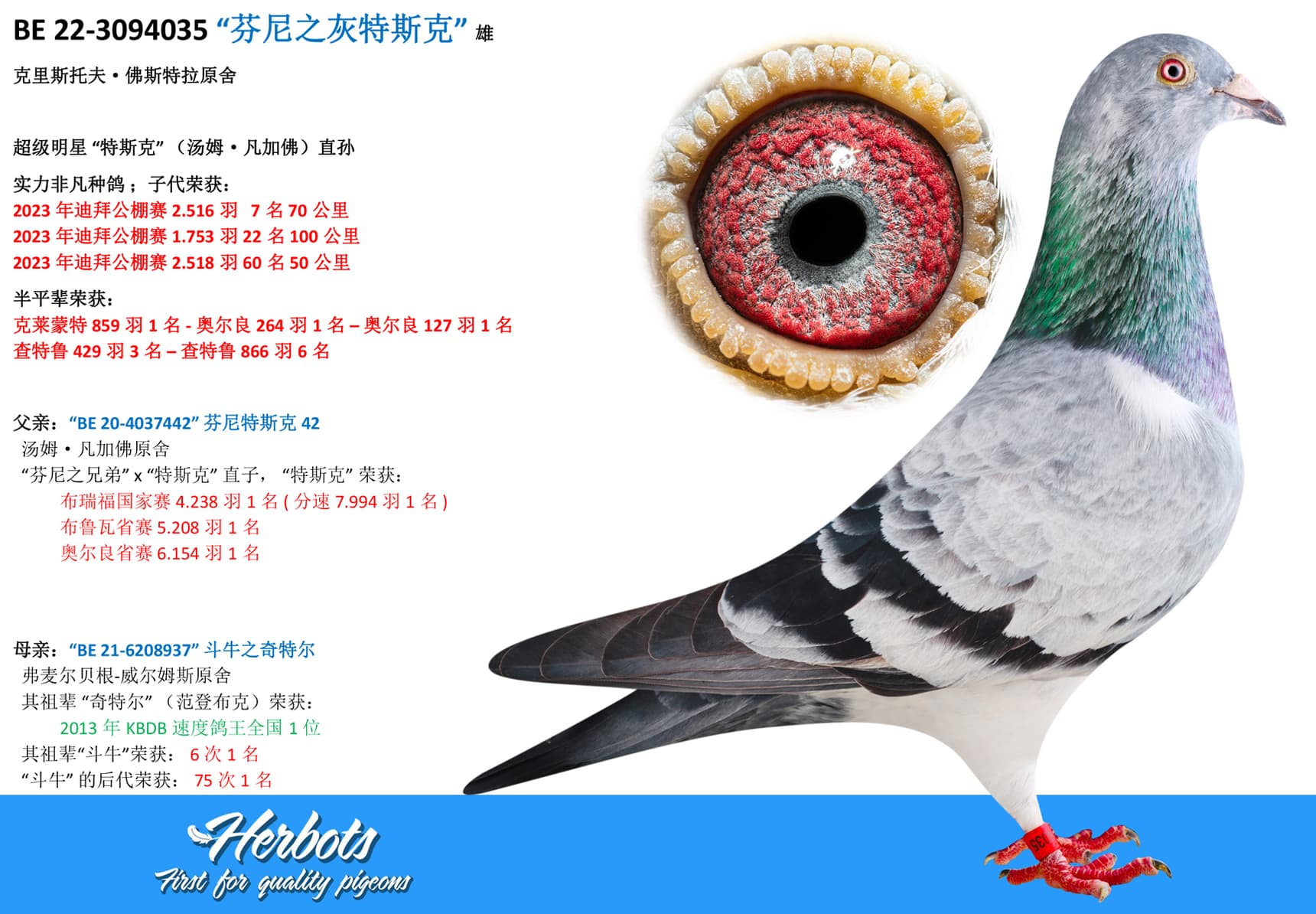 pigeon: undefined