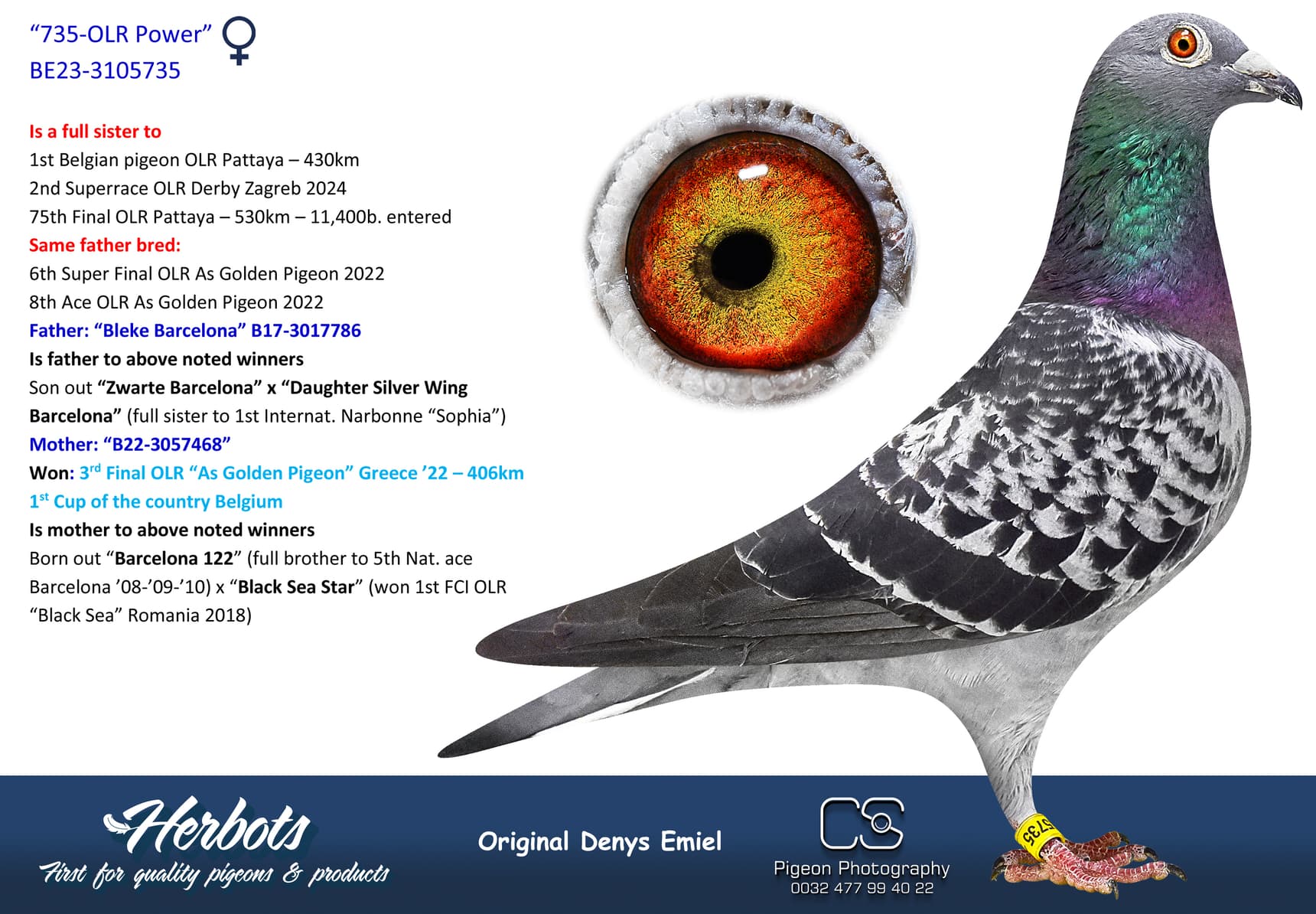 pigeon: undefined