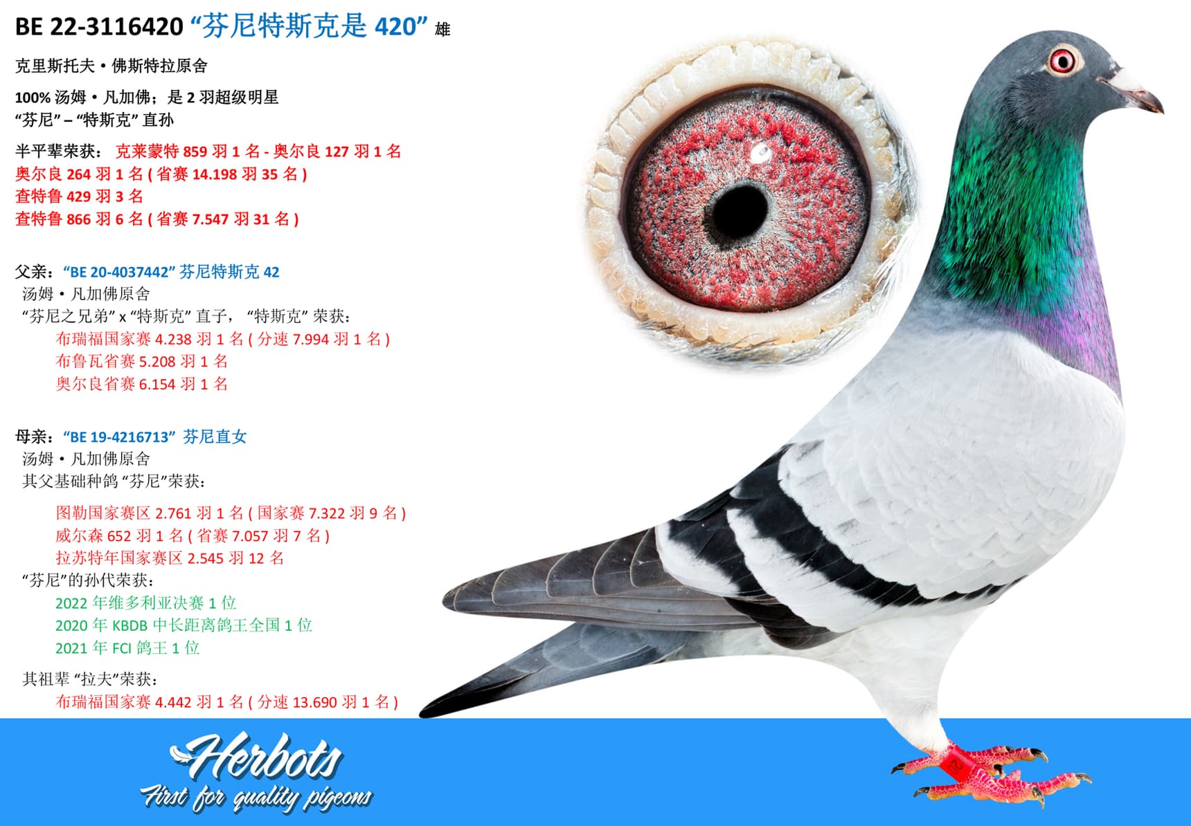 pigeon: undefined