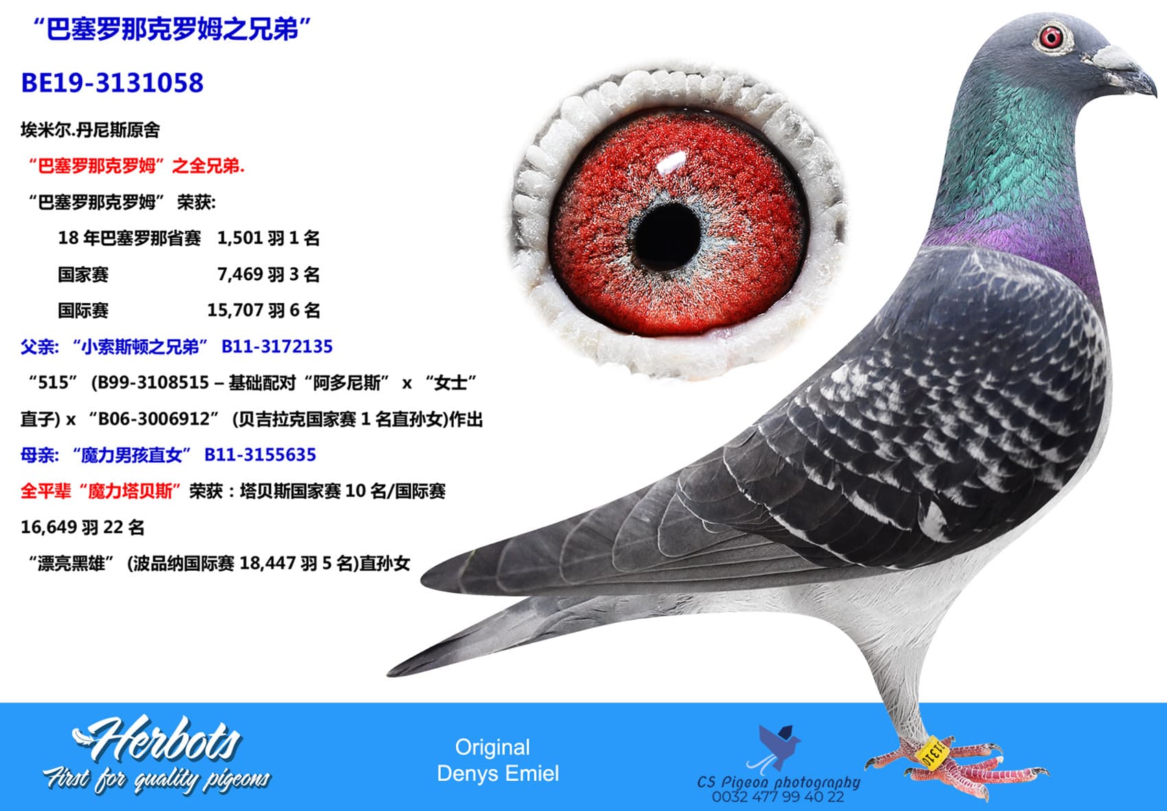 pigeon: undefined
