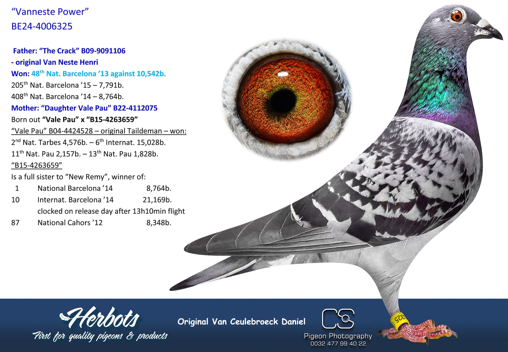 pigeon: undefined