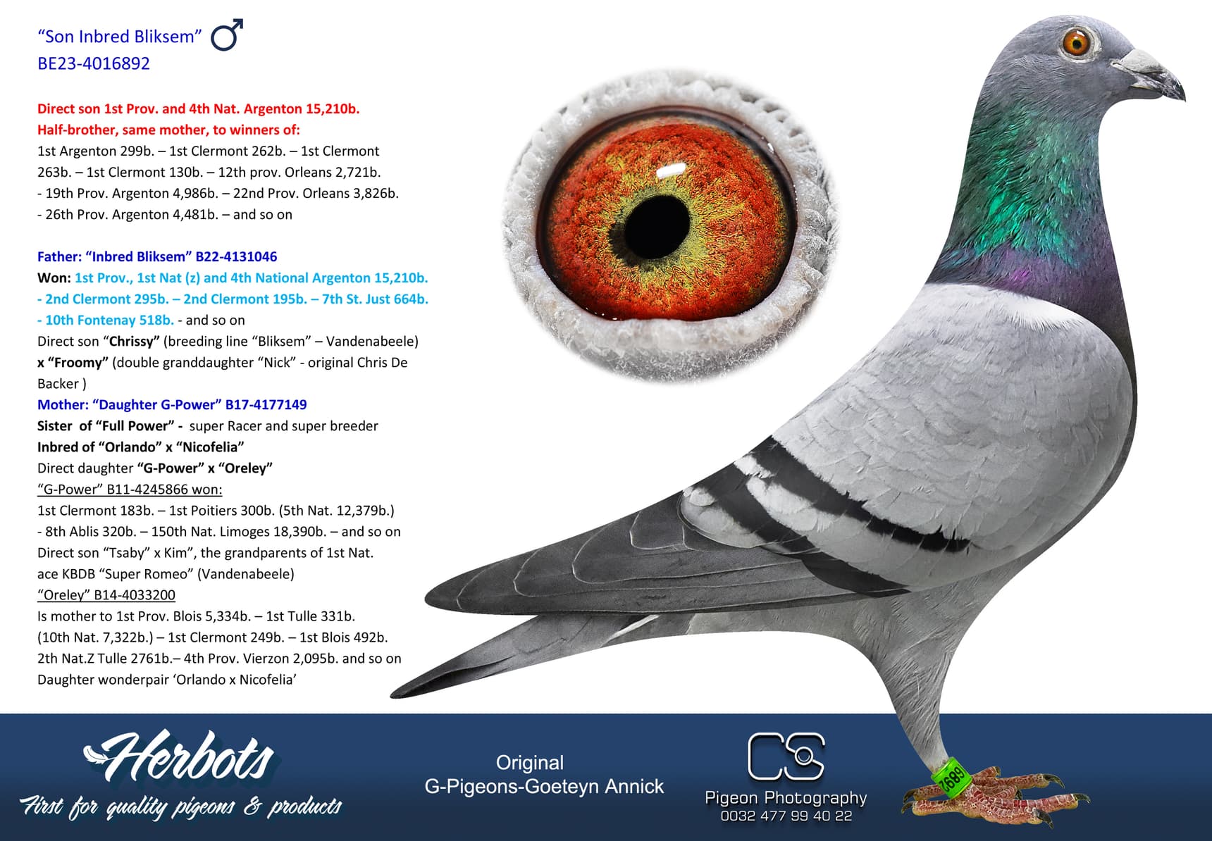 pigeon: undefined