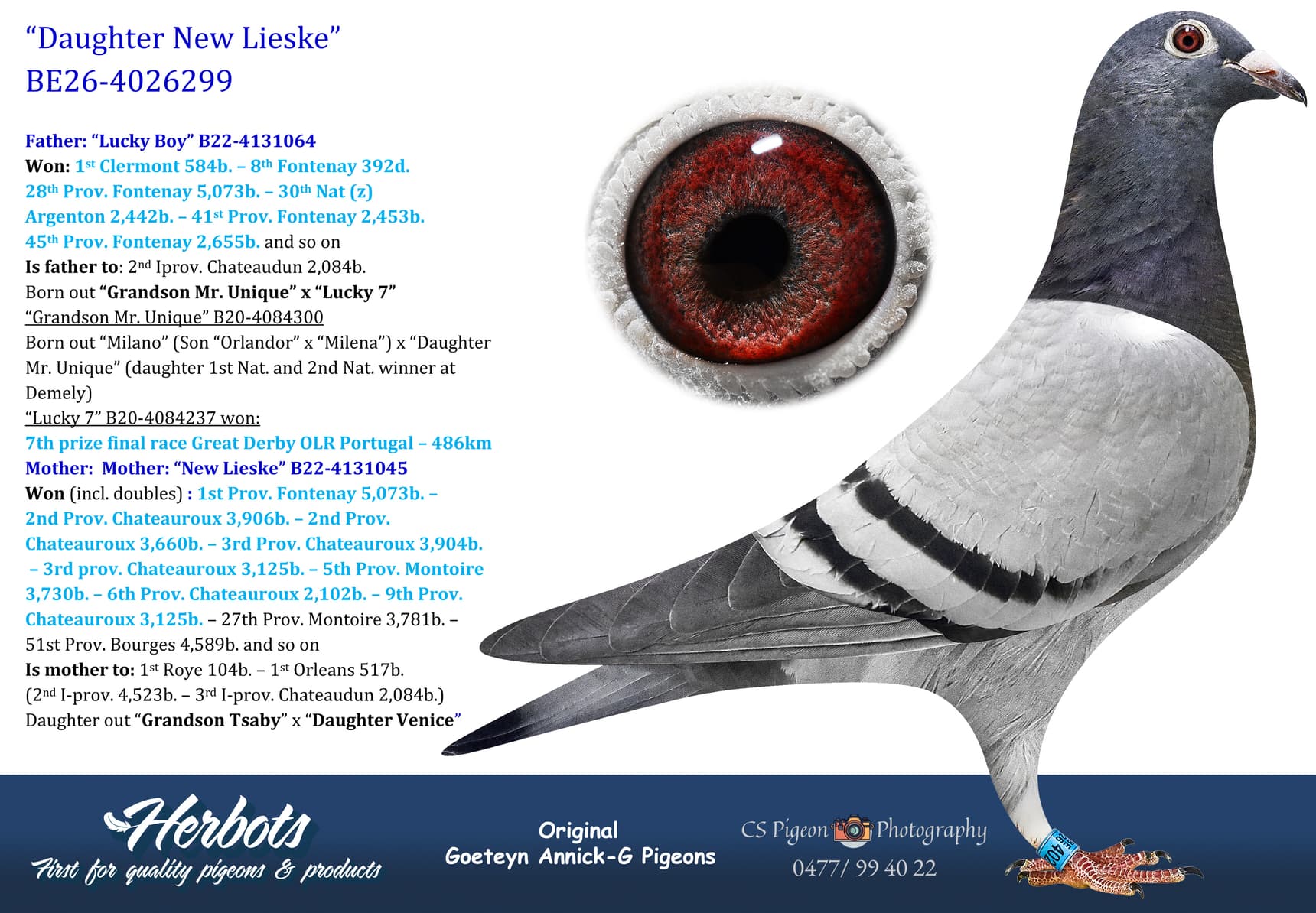 pigeon: undefined
